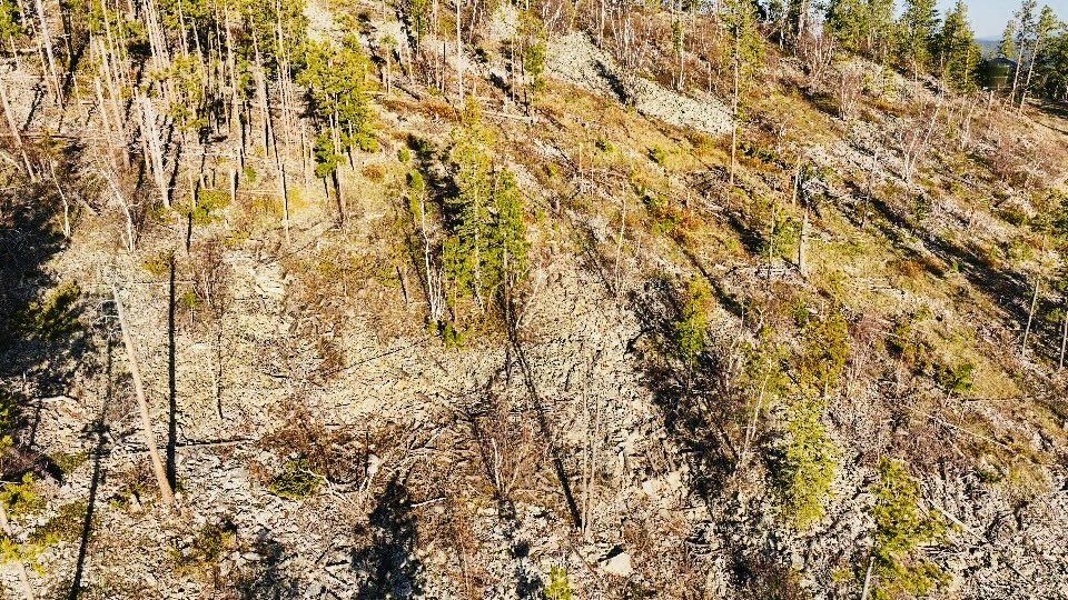 Tbd Terry Peak Summit Rd Property Photo 4