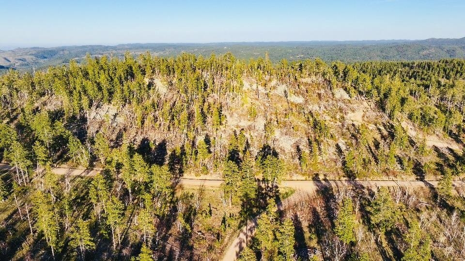 Tbd Terry Peak Summit Rd Property Photo 5