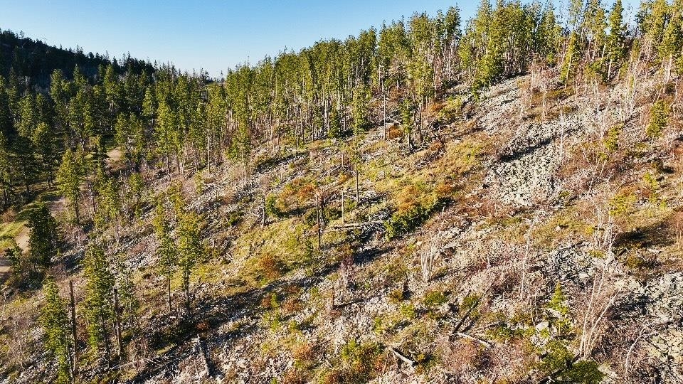 Tbd Terry Peak Summit Rd Property Photo 6