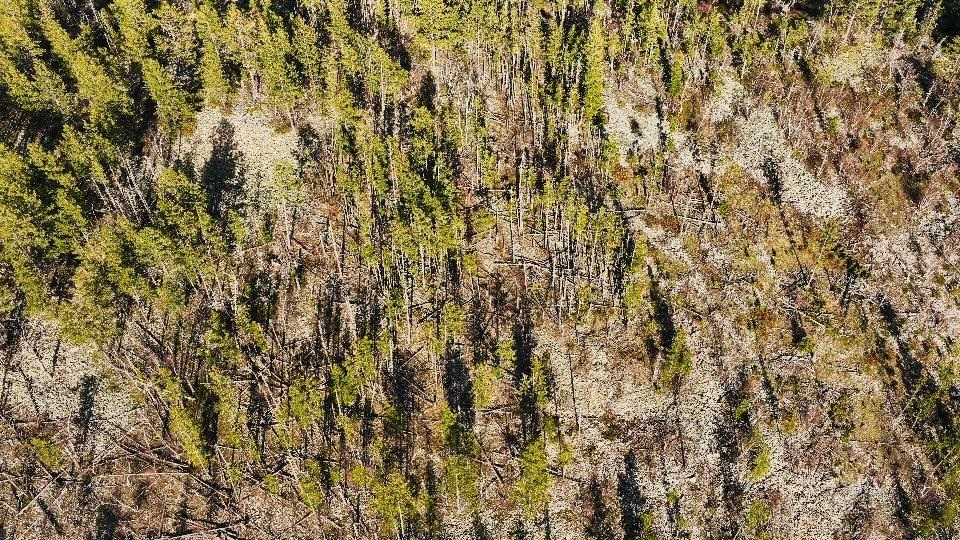 Tbd Terry Peak Summit Rd Property Photo 7