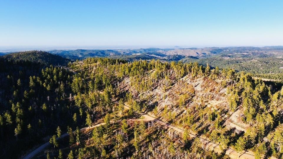 Tbd Terry Peak Summit Rd Property Photo 8