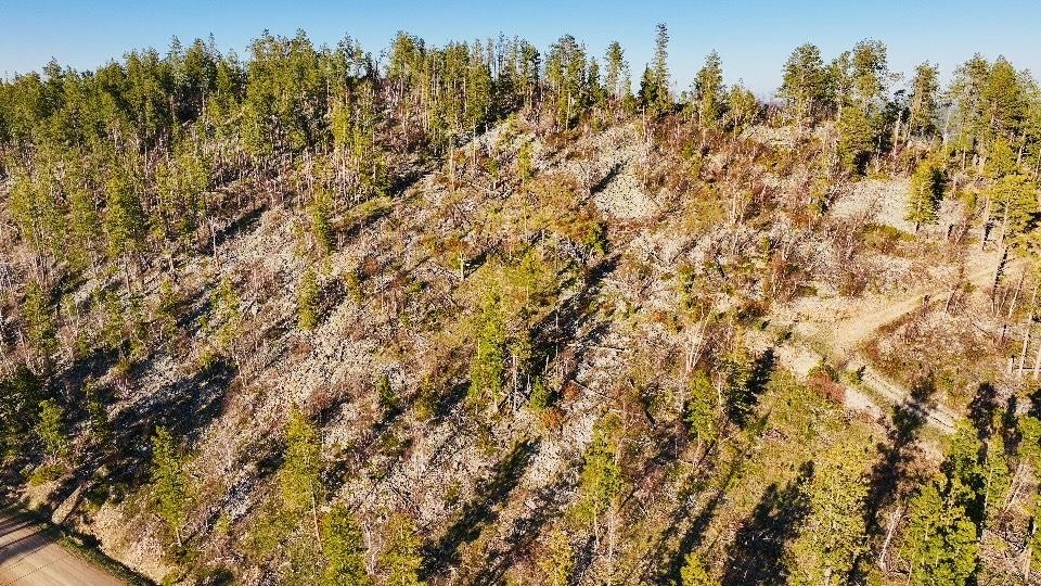 Tbd Terry Peak Summit Rd Property Photo 9