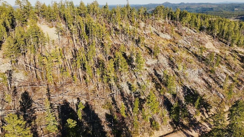 Tbd Terry Peak Summit Rd Property Photo 10