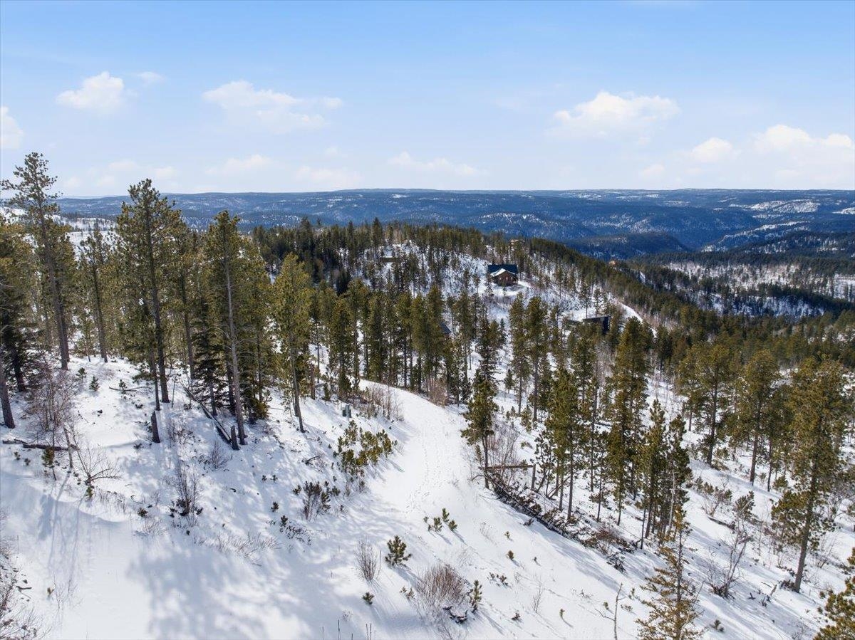 Tbd Terry Peak Summit Rd Property Photo 18