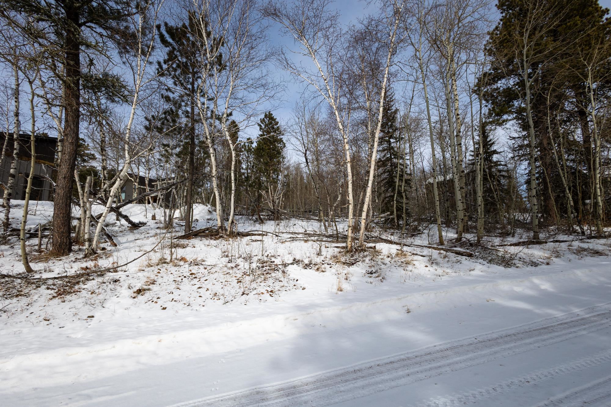 21179 Turkey Trail Property Photo 4