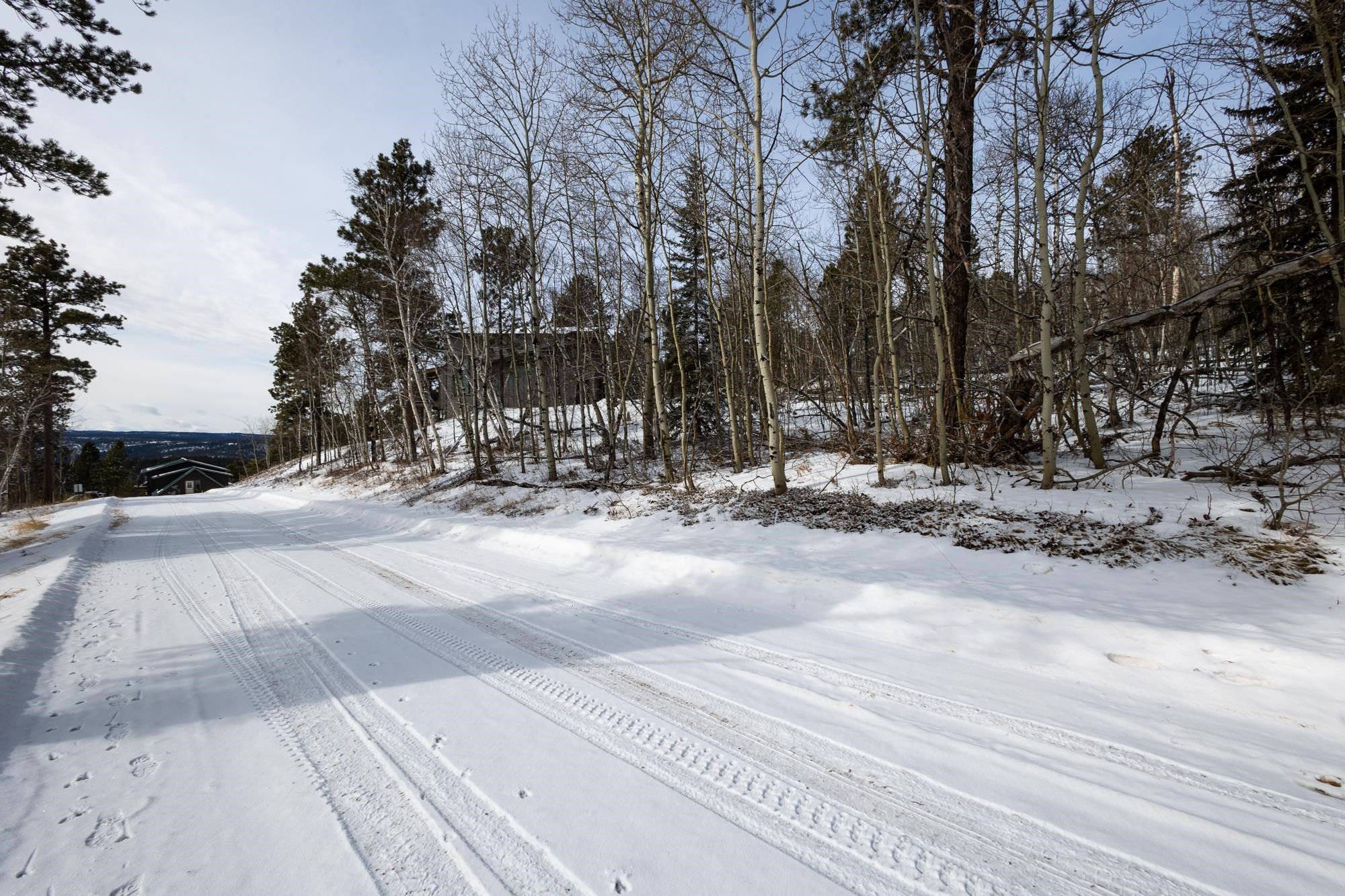 21179 Turkey Trail Property Photo 5
