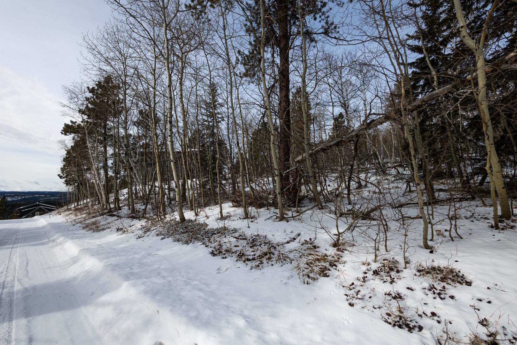 21179 Turkey Trail Property Photo 6