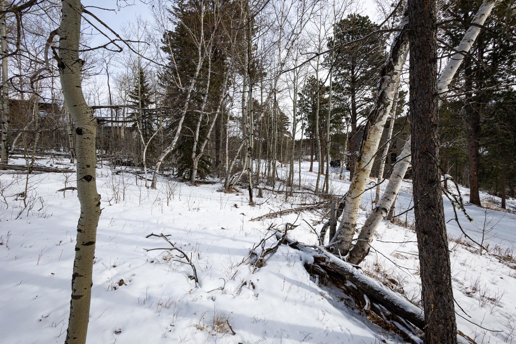 21179 Turkey Trail Property Photo 7