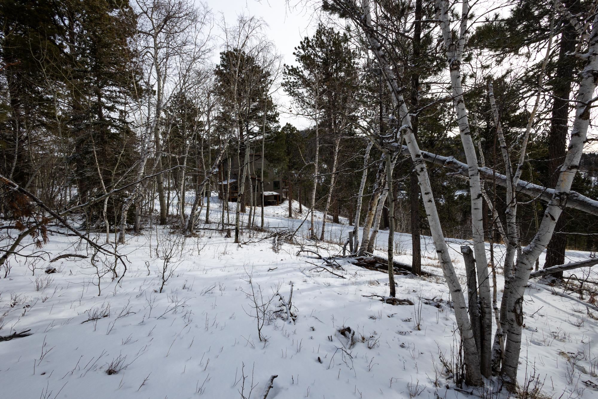 21179 Turkey Trail Property Photo 8