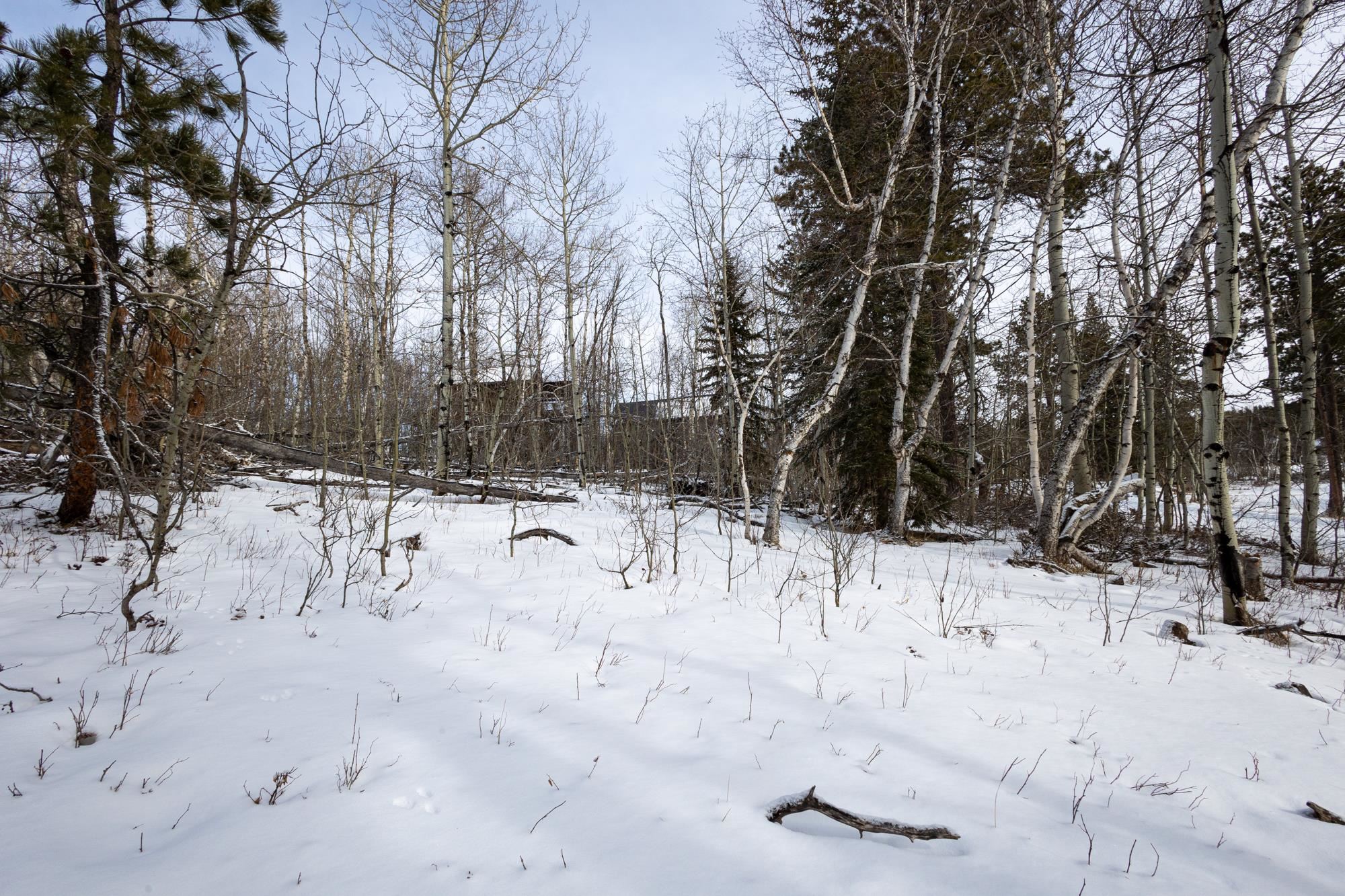 21179 Turkey Trail Property Photo 9