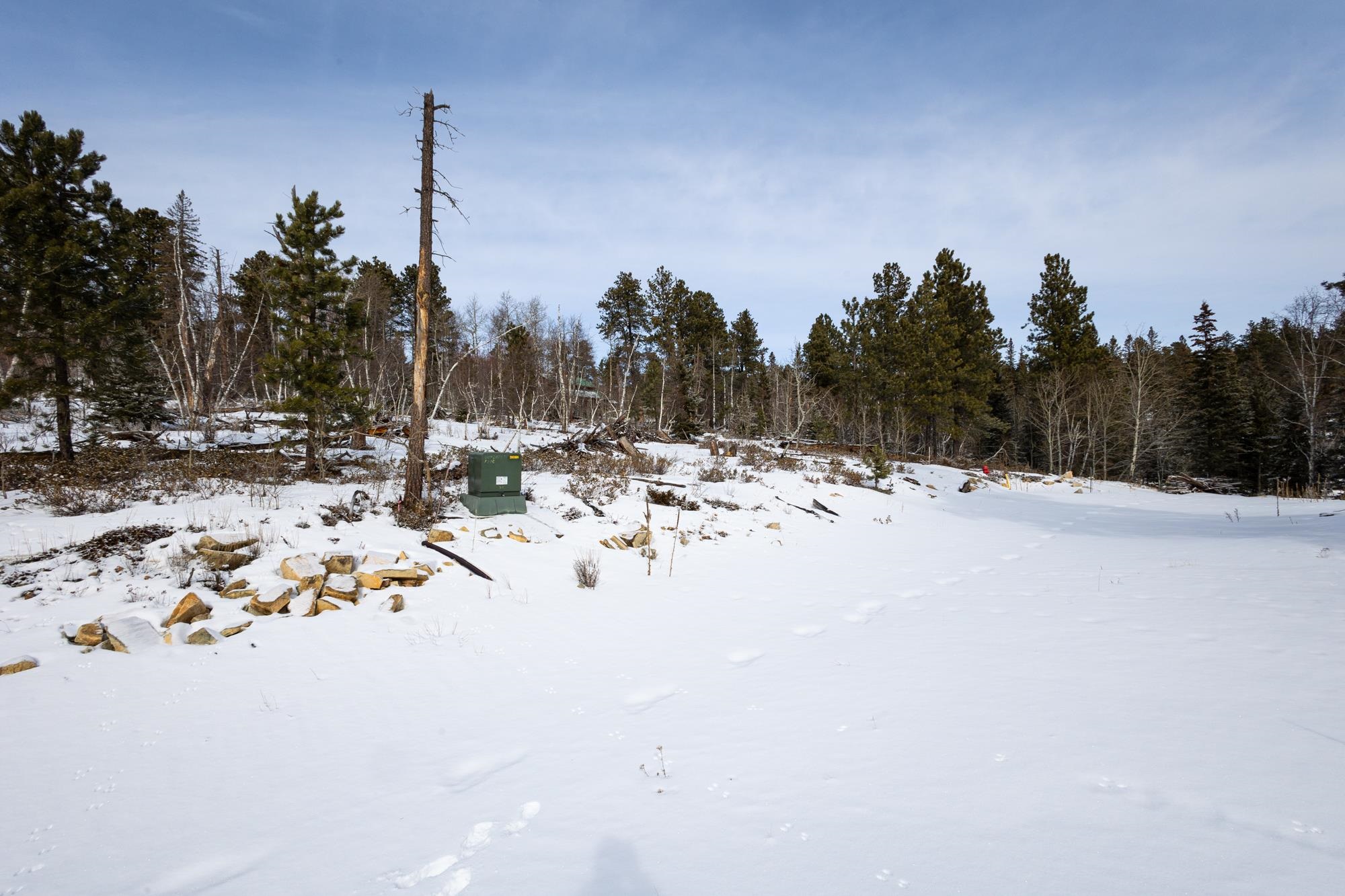 21163 Turkey Trail Property Photo 2