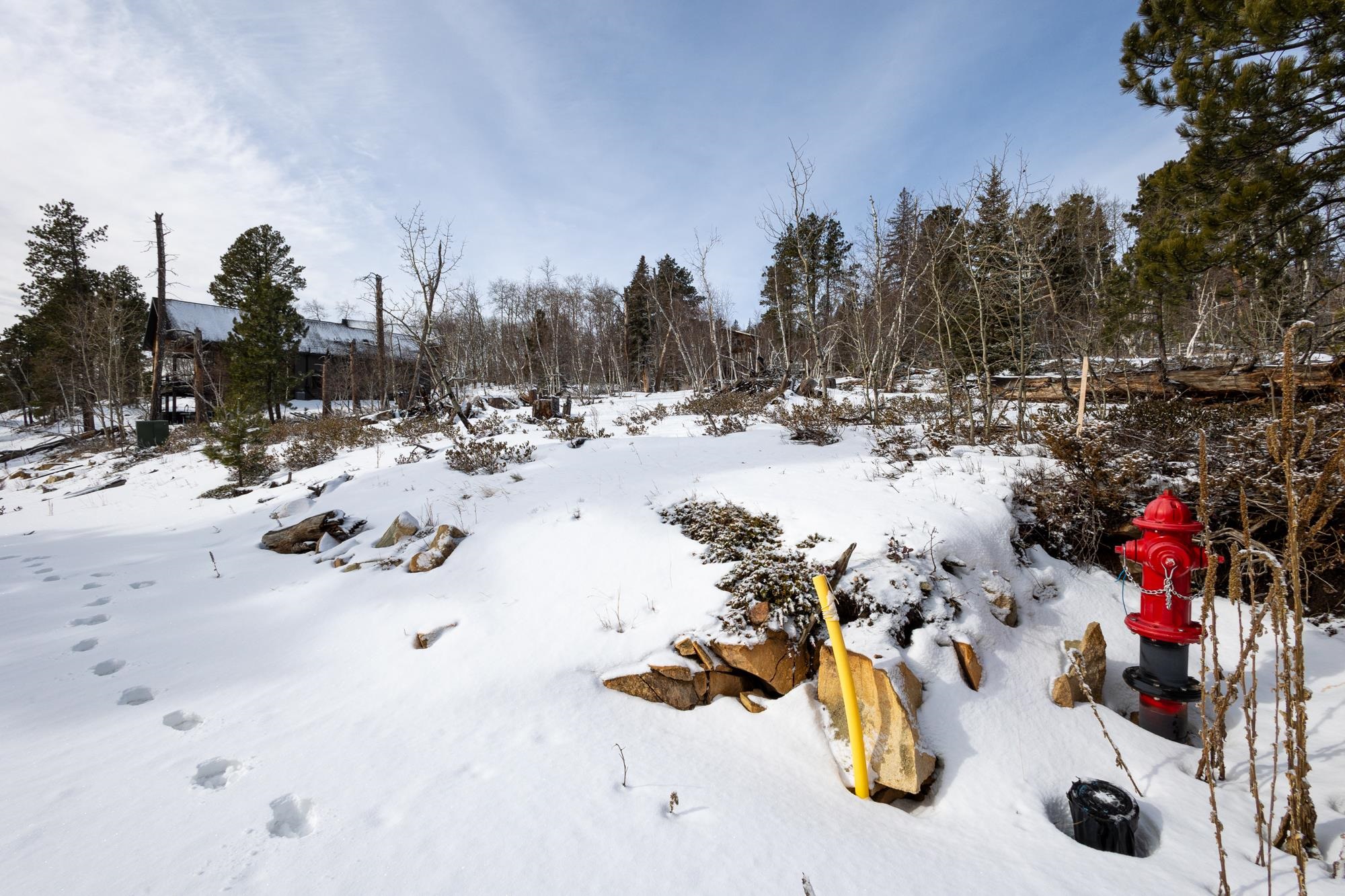 21163 Turkey Trail Property Photo 4