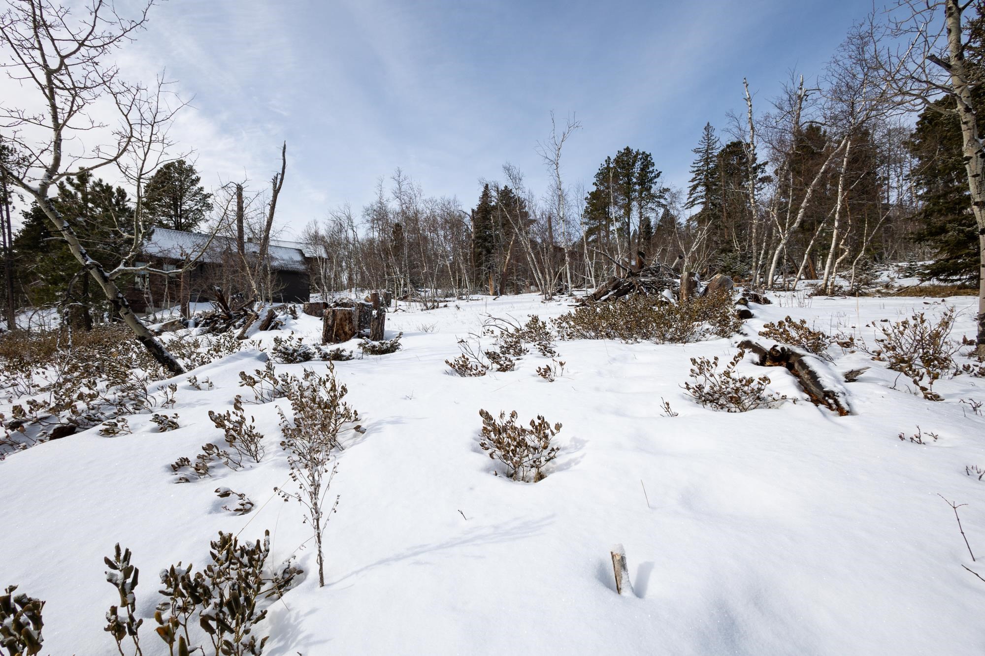 21163 Turkey Trail Property Photo 5