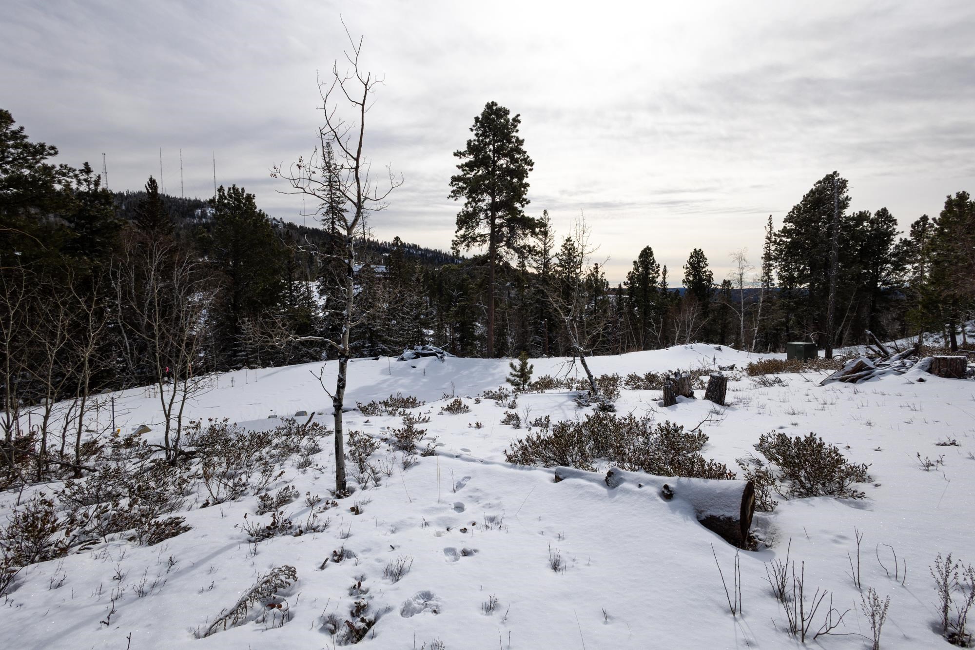 21163 Turkey Trail Property Photo 6
