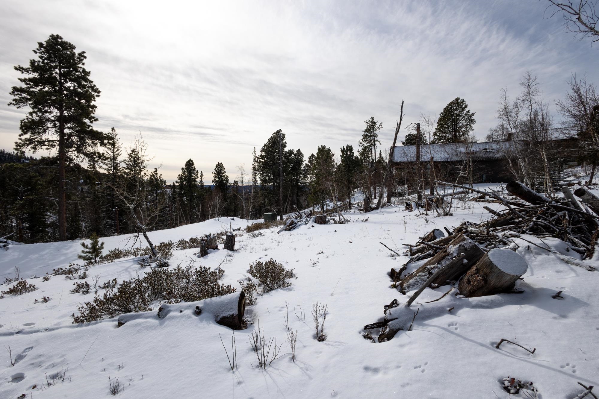 21163 Turkey Trail Property Photo 7
