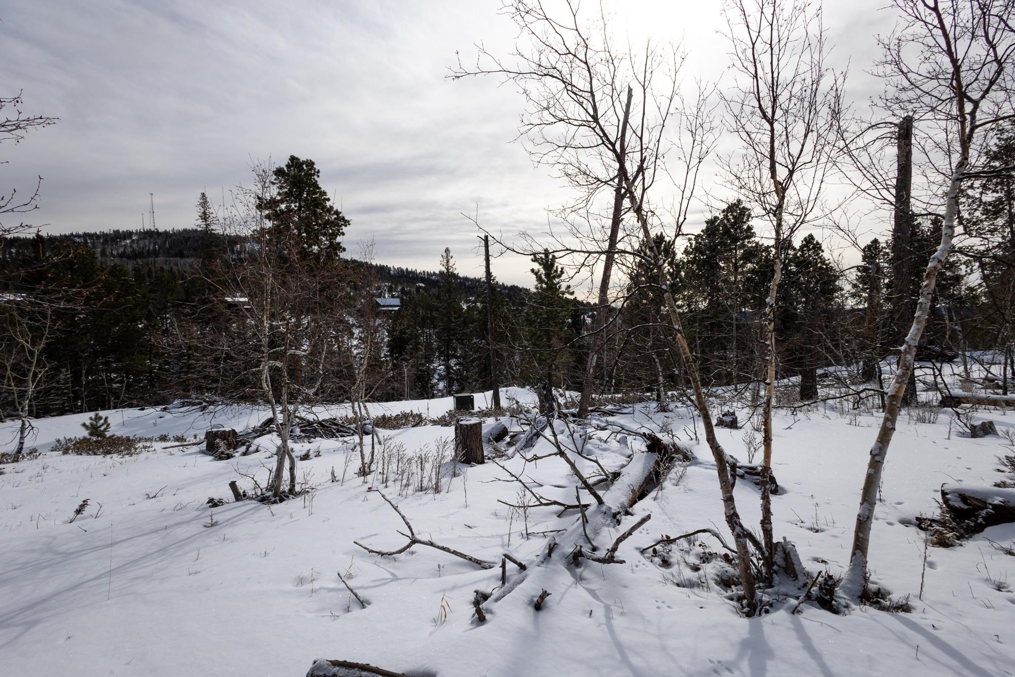 21163 Turkey Trail Property Photo 8