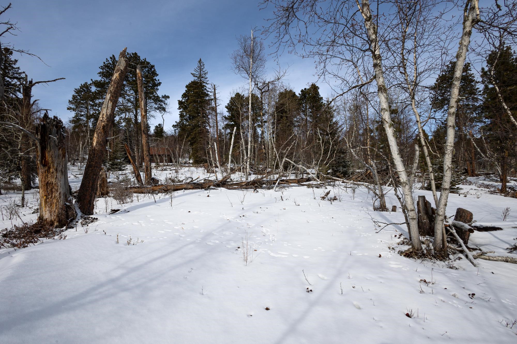 21163 Turkey Trail Property Photo 9