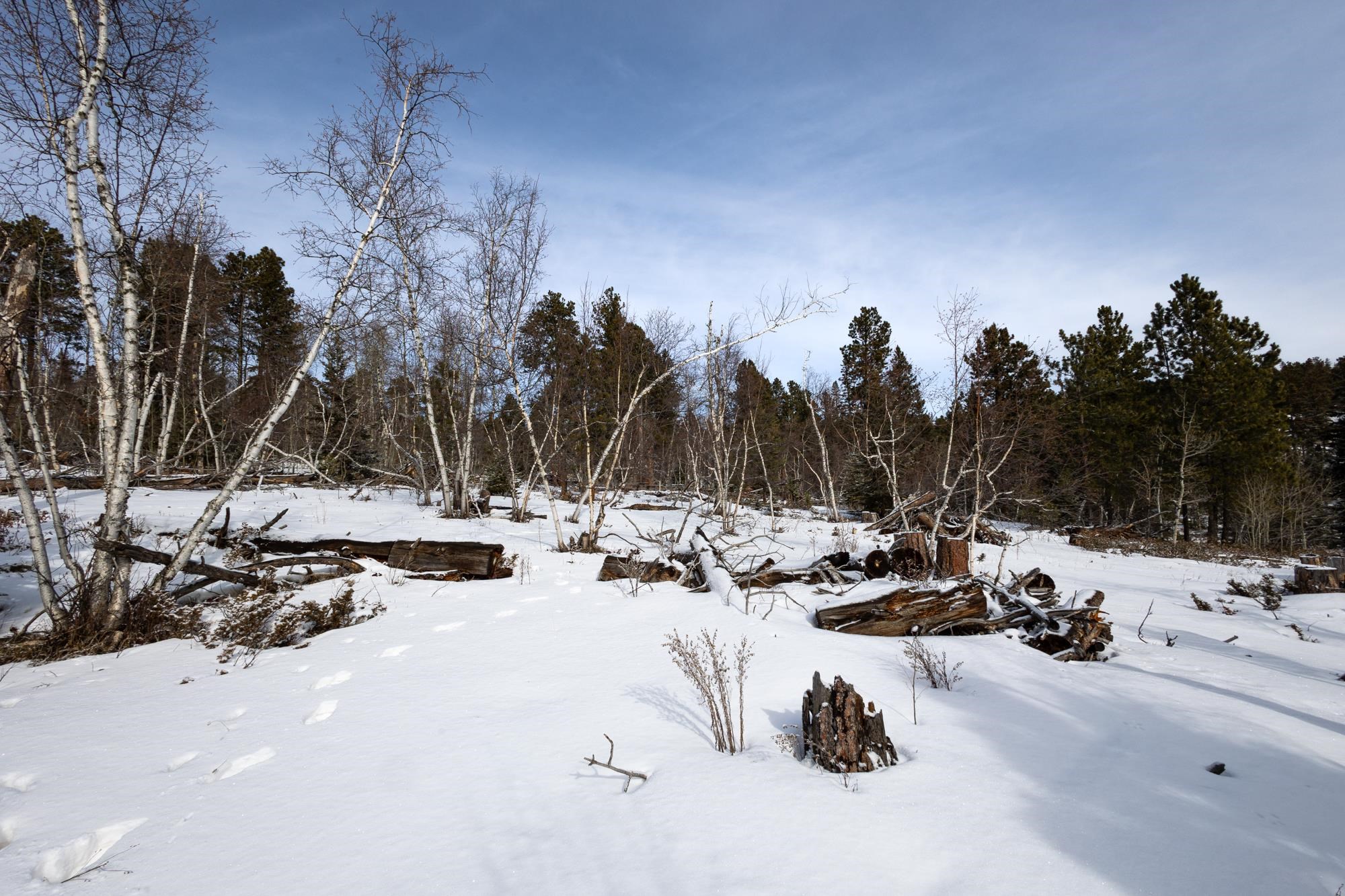 21163 Turkey Trail Property Photo 10