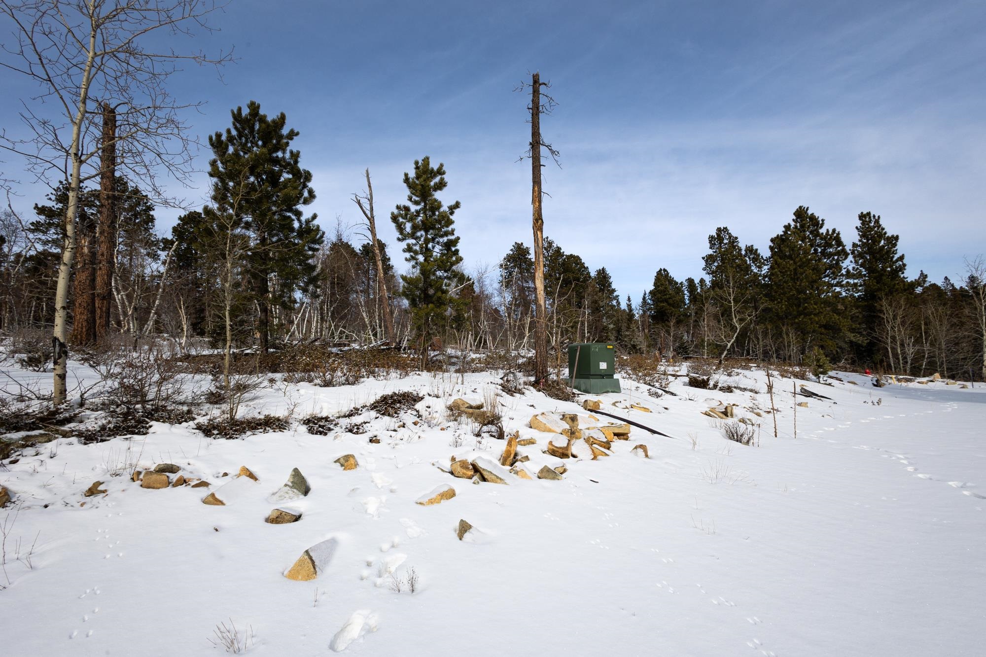 21163 Turkey Trail Property Photo 11