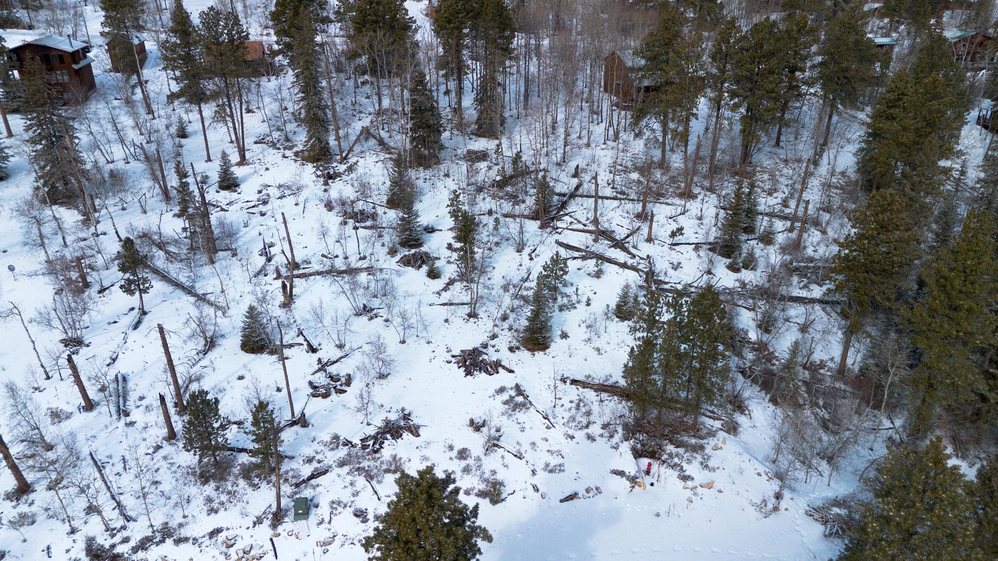 21163 Turkey Trail Property Photo 12