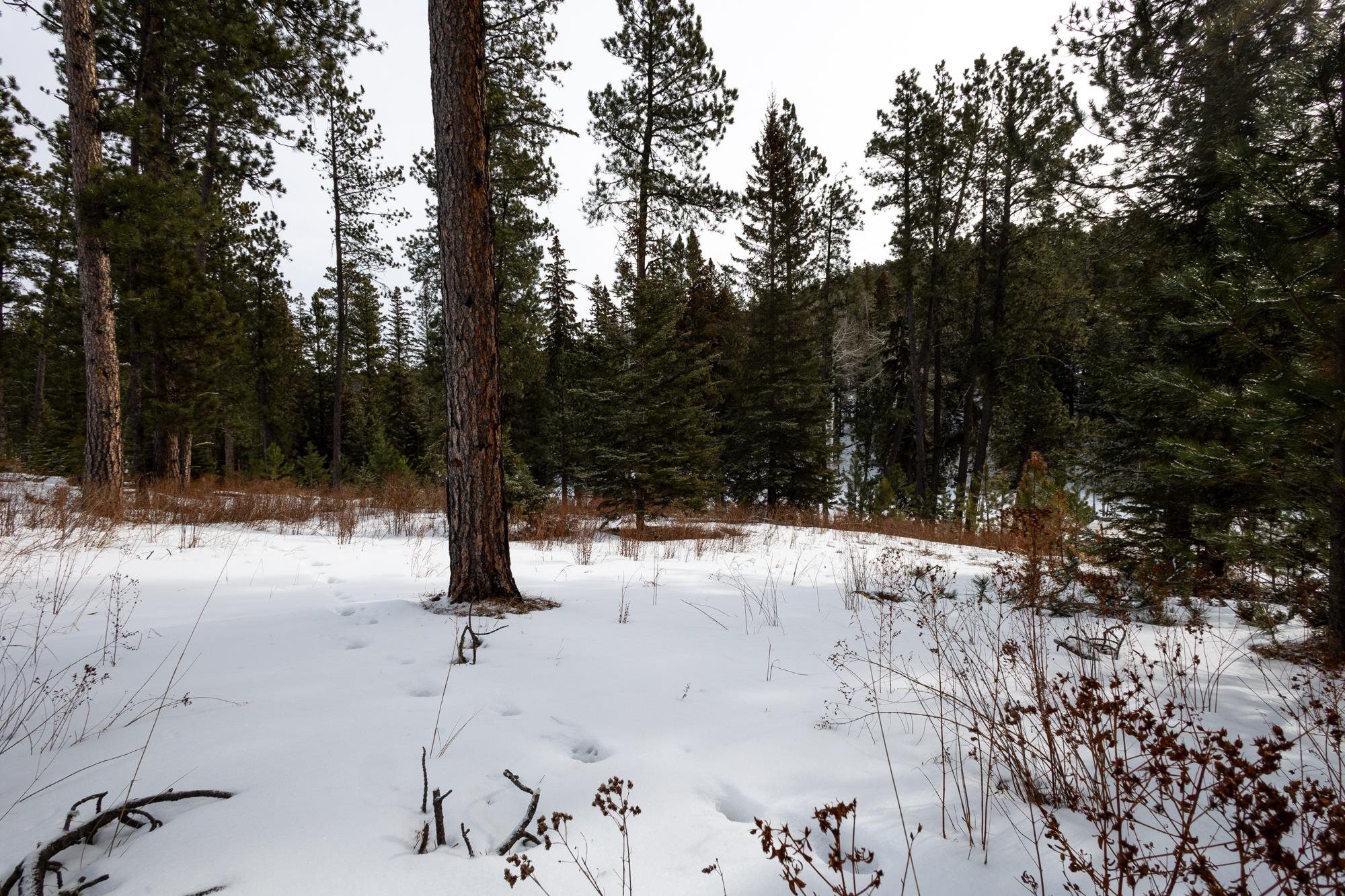 Lot 14 Block 3 Ironwood Lane Property Photo 4