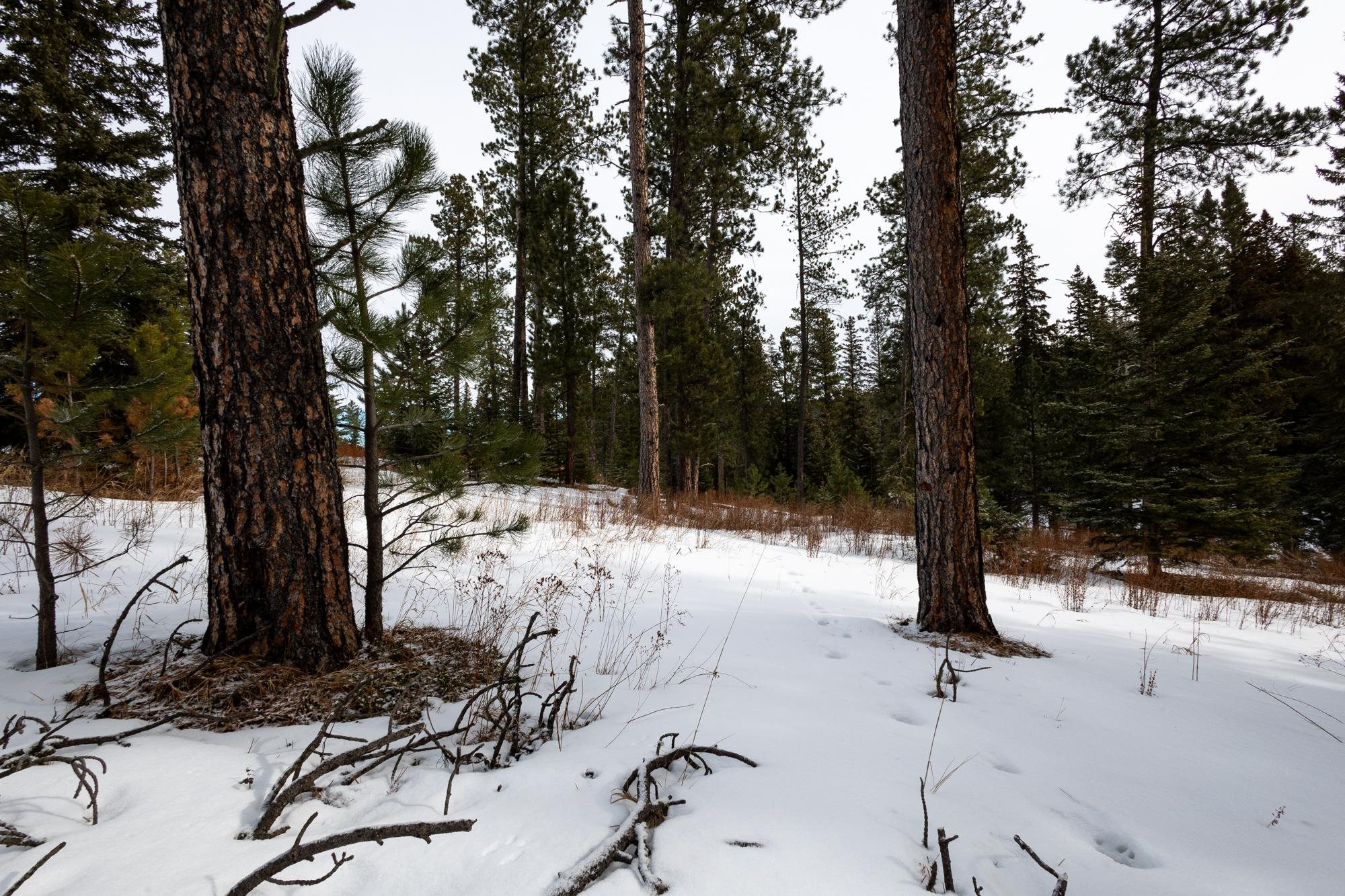 Lot 14 Block 3 Ironwood Lane Property Photo 5