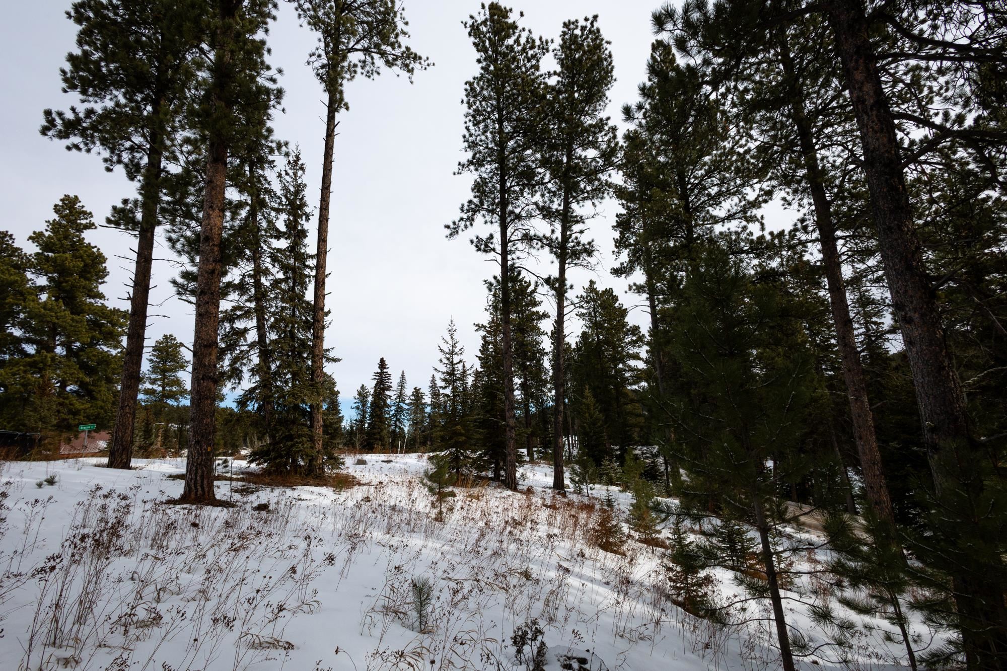 Lot 14 Block 3 Ironwood Lane Property Photo 6