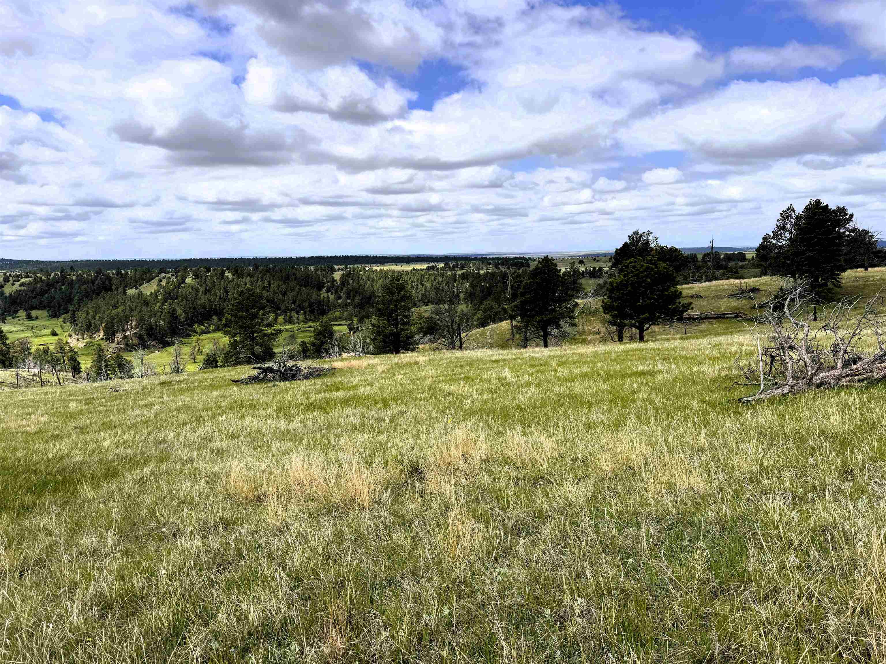 165 Gruenhagen Road Property Photo 3