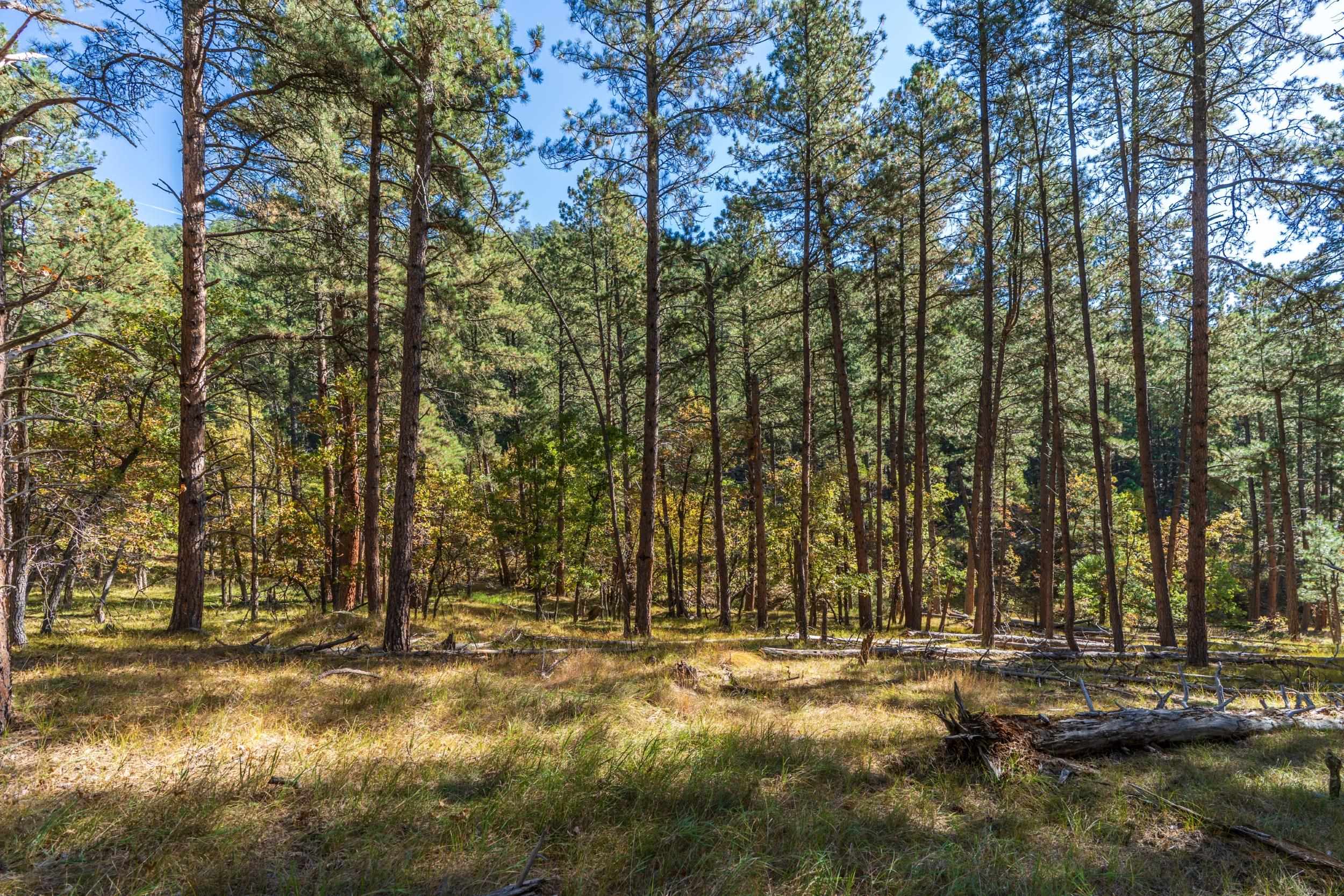 Lot 3 Old Hill City Road Property Photo 2