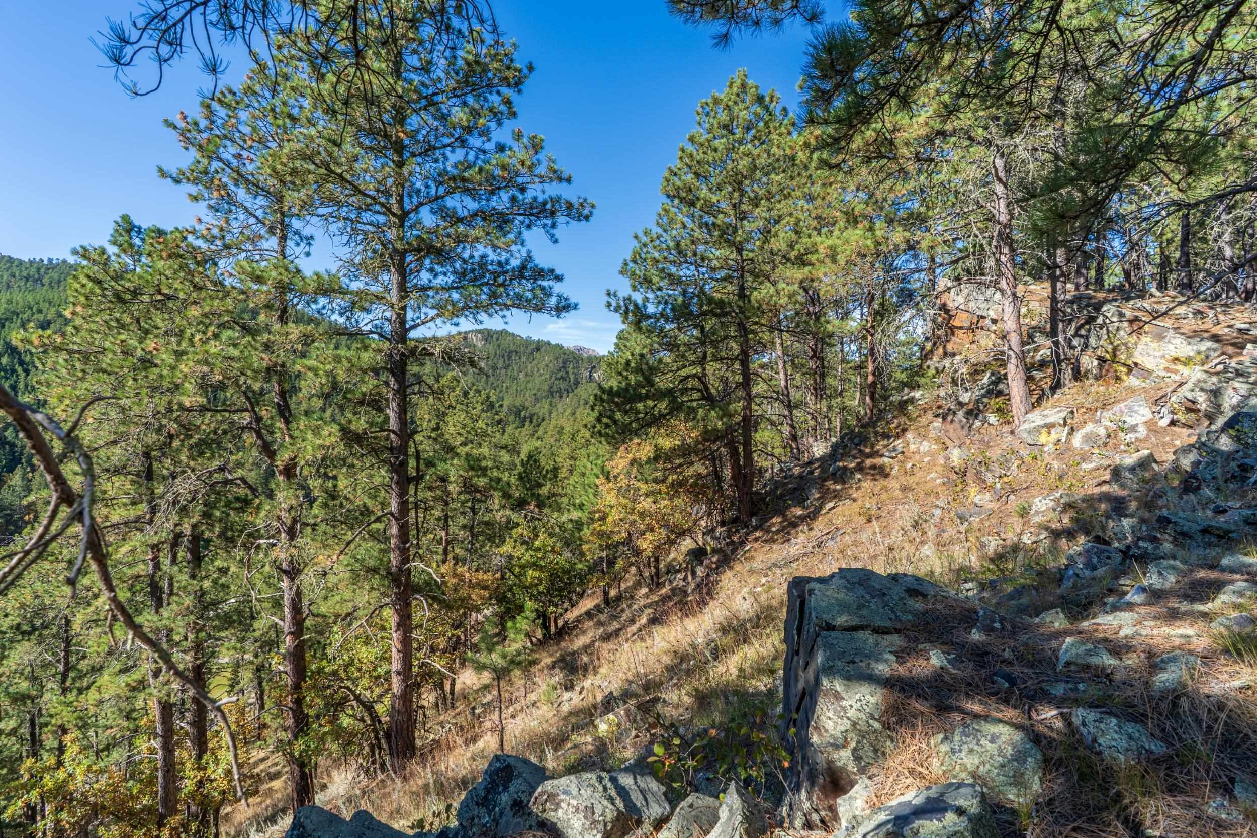 Lot 3 Old Hill City Road Property Photo 4
