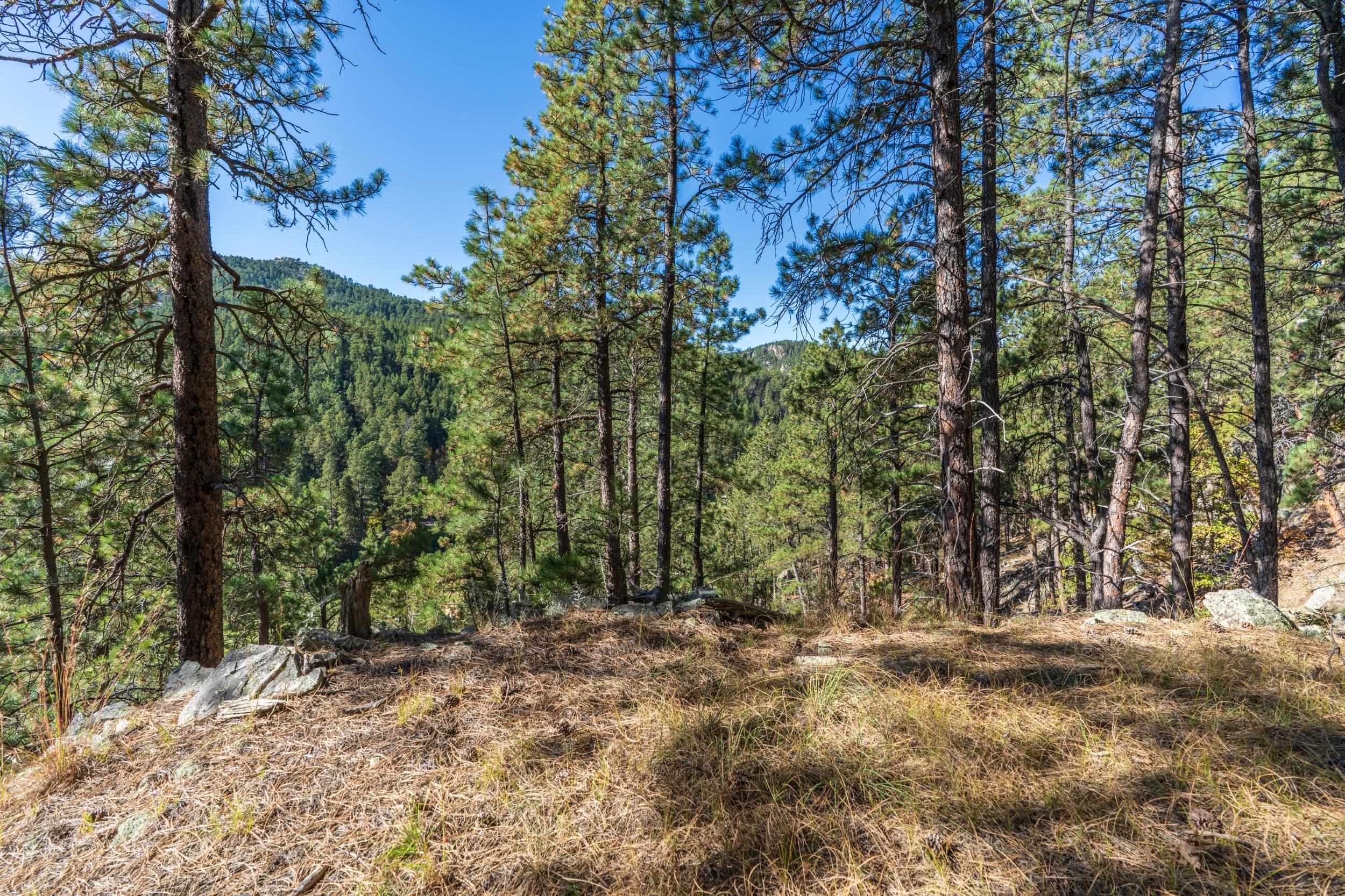 Lot 3 Old Hill City Road Property Photo 11