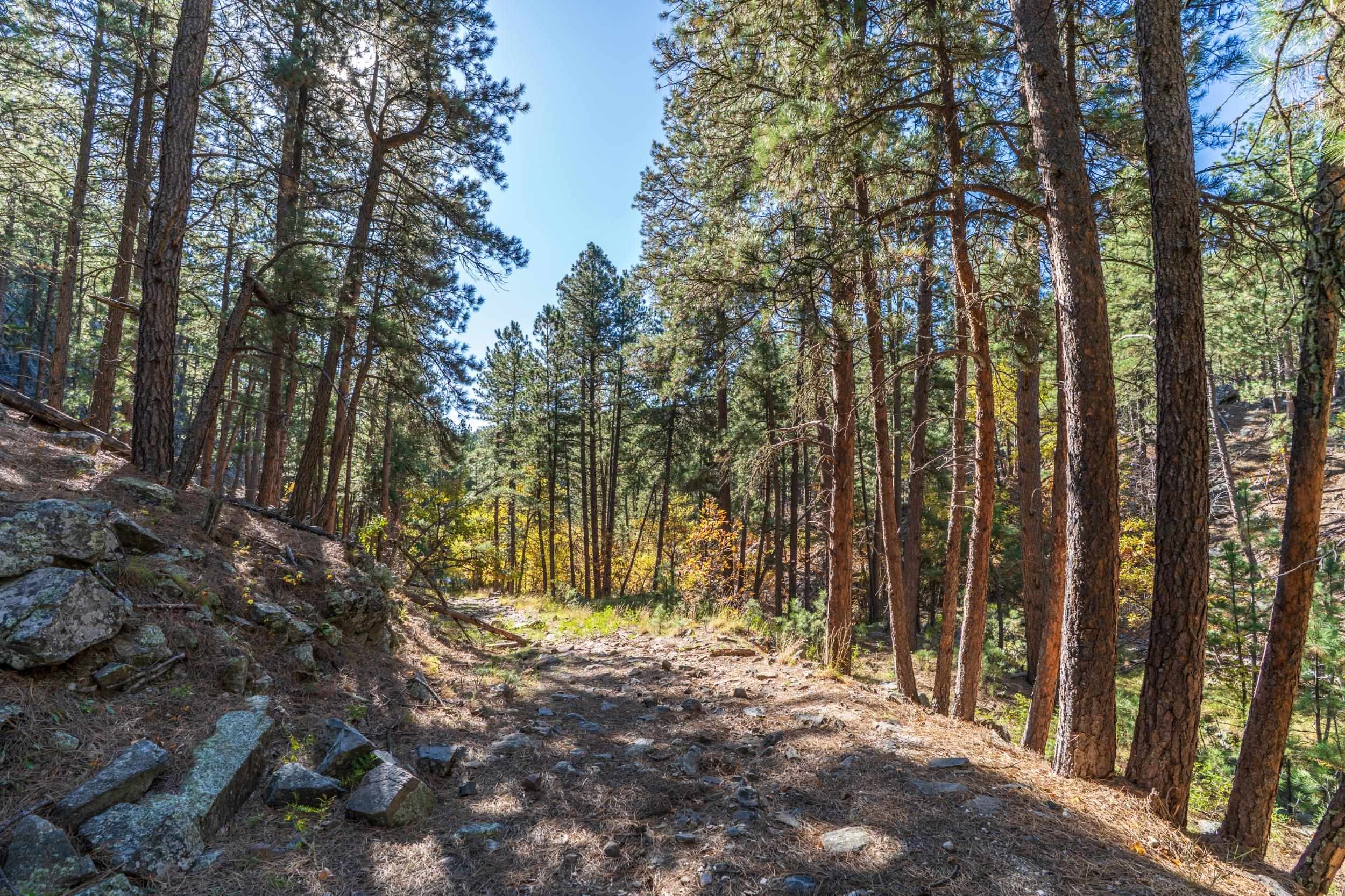 Lot 4 Old Hill City Road Property Photo 2