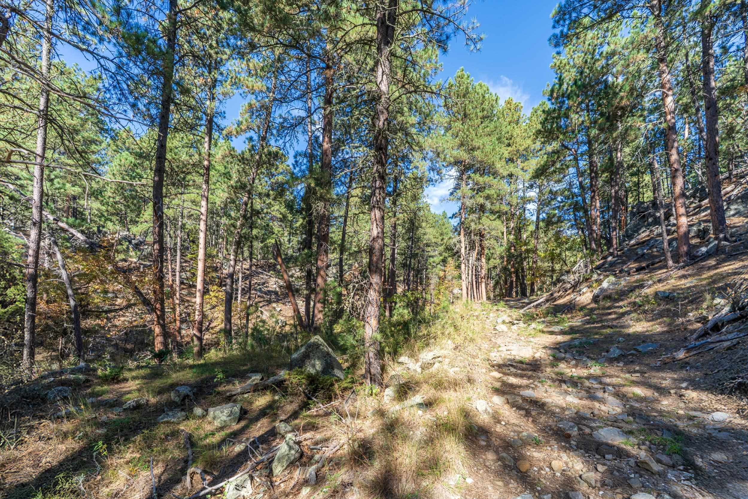 Lot 4 Old Hill City Road Property Photo 4