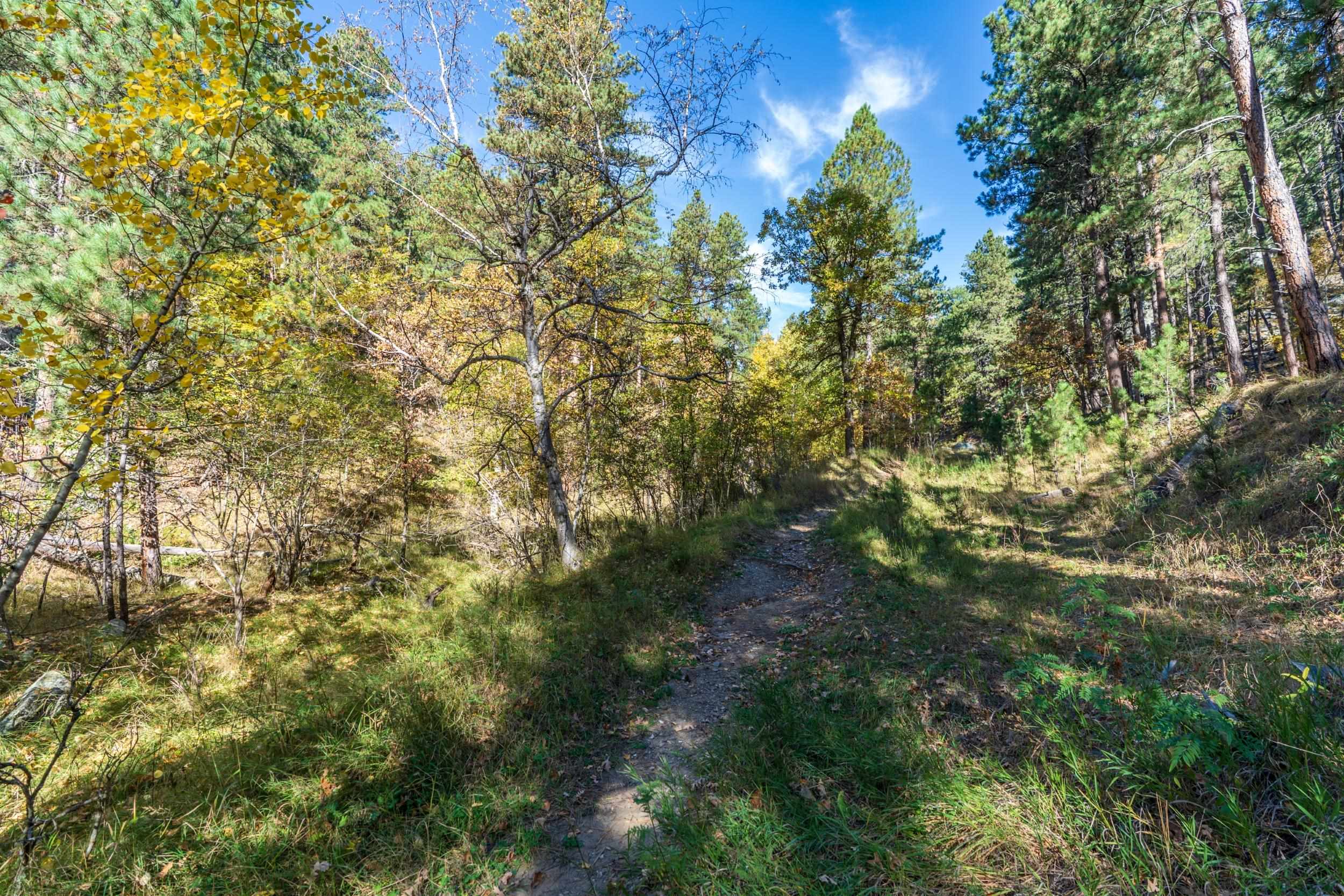 Lot 4 Old Hill City Road Property Photo 7
