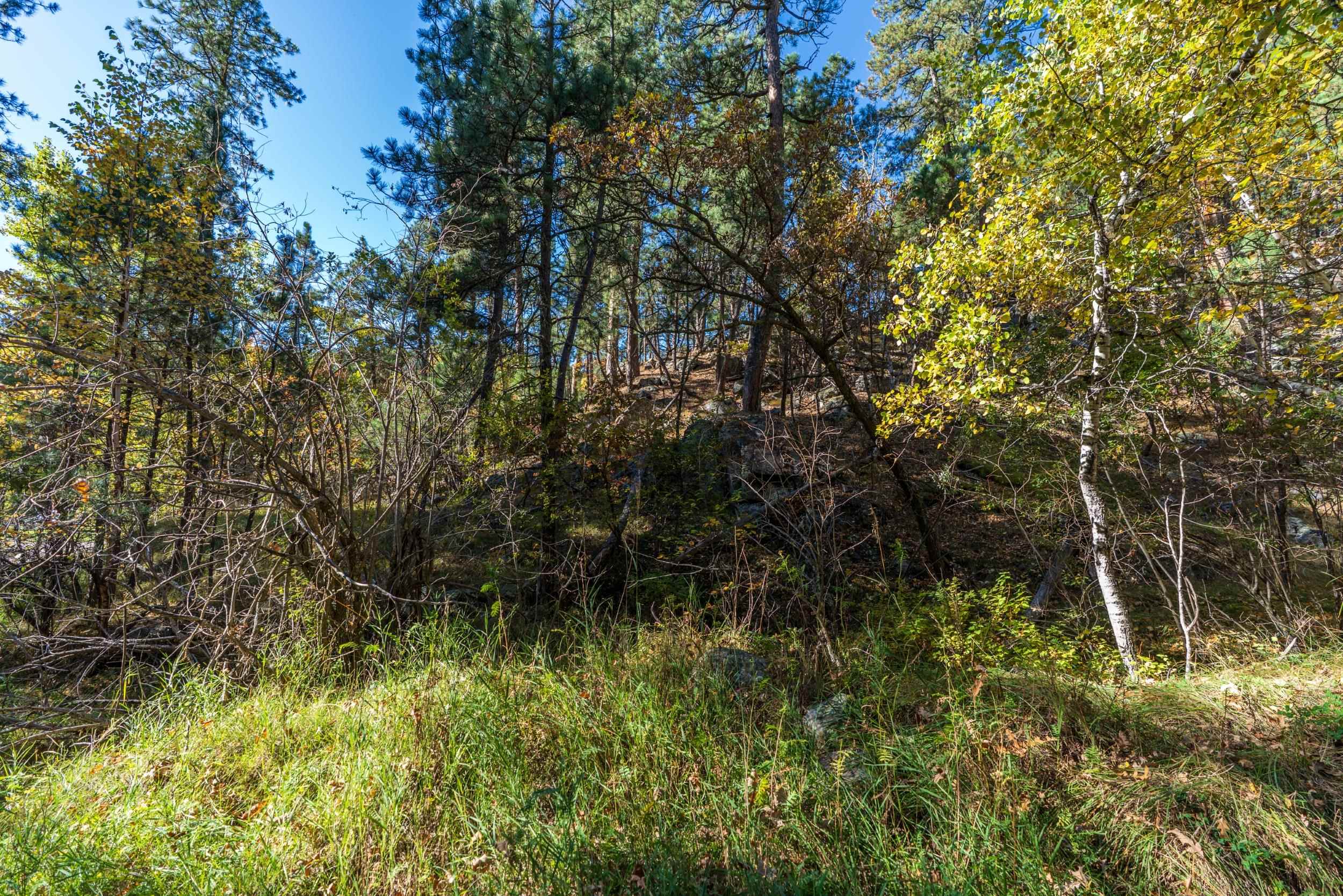 Lot 4 Old Hill City Road Property Photo 9