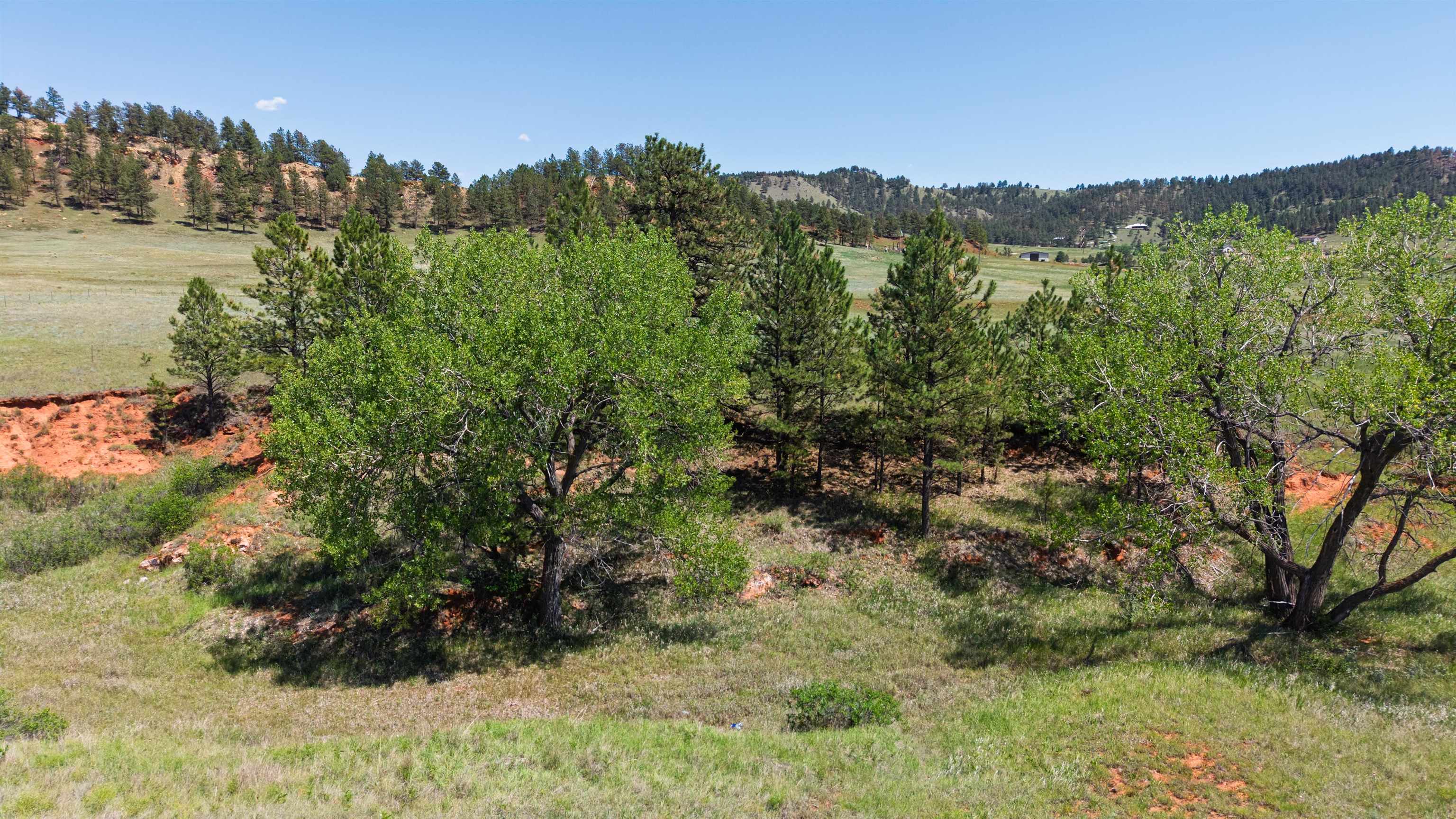 Tbd Highway 385 Property Photo 6