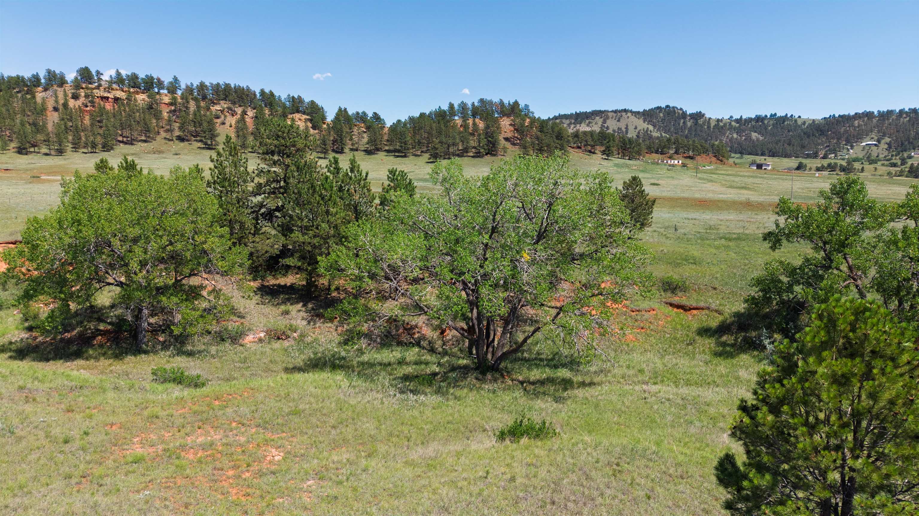 Tbd Highway 385 Property Photo 7