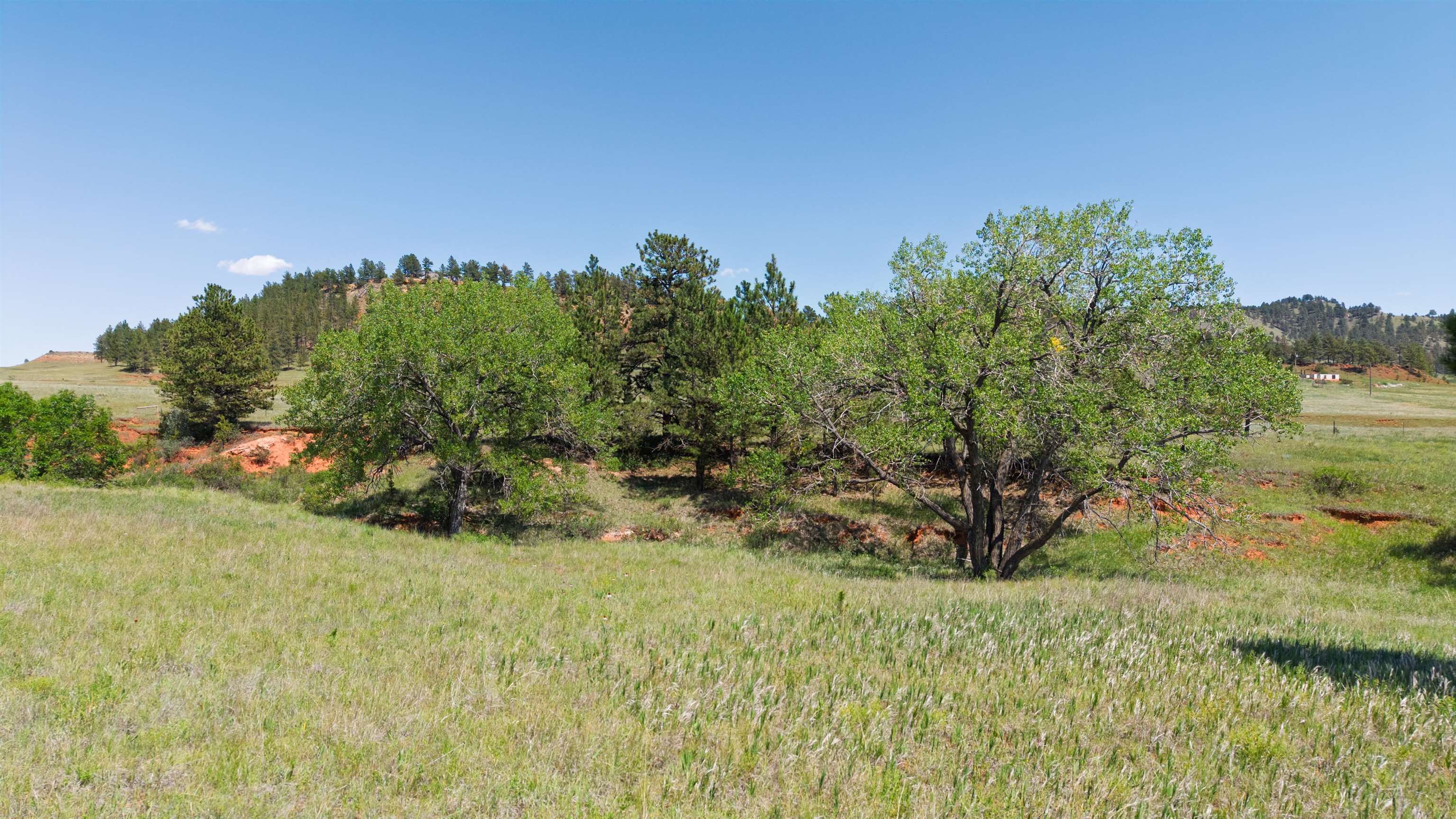 Tbd Highway 385 Property Photo 8