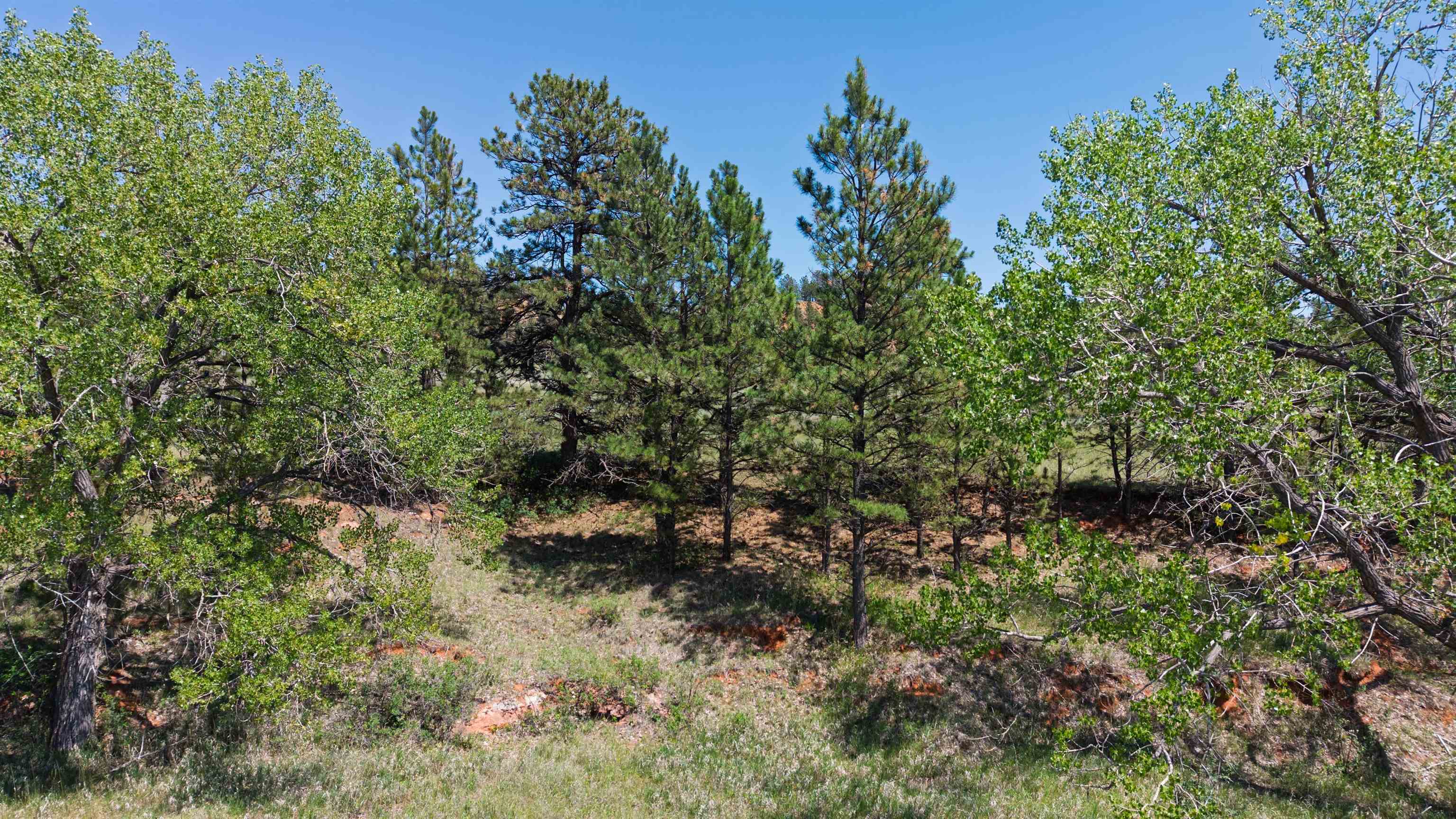 Tbd Highway 385 Property Photo 9