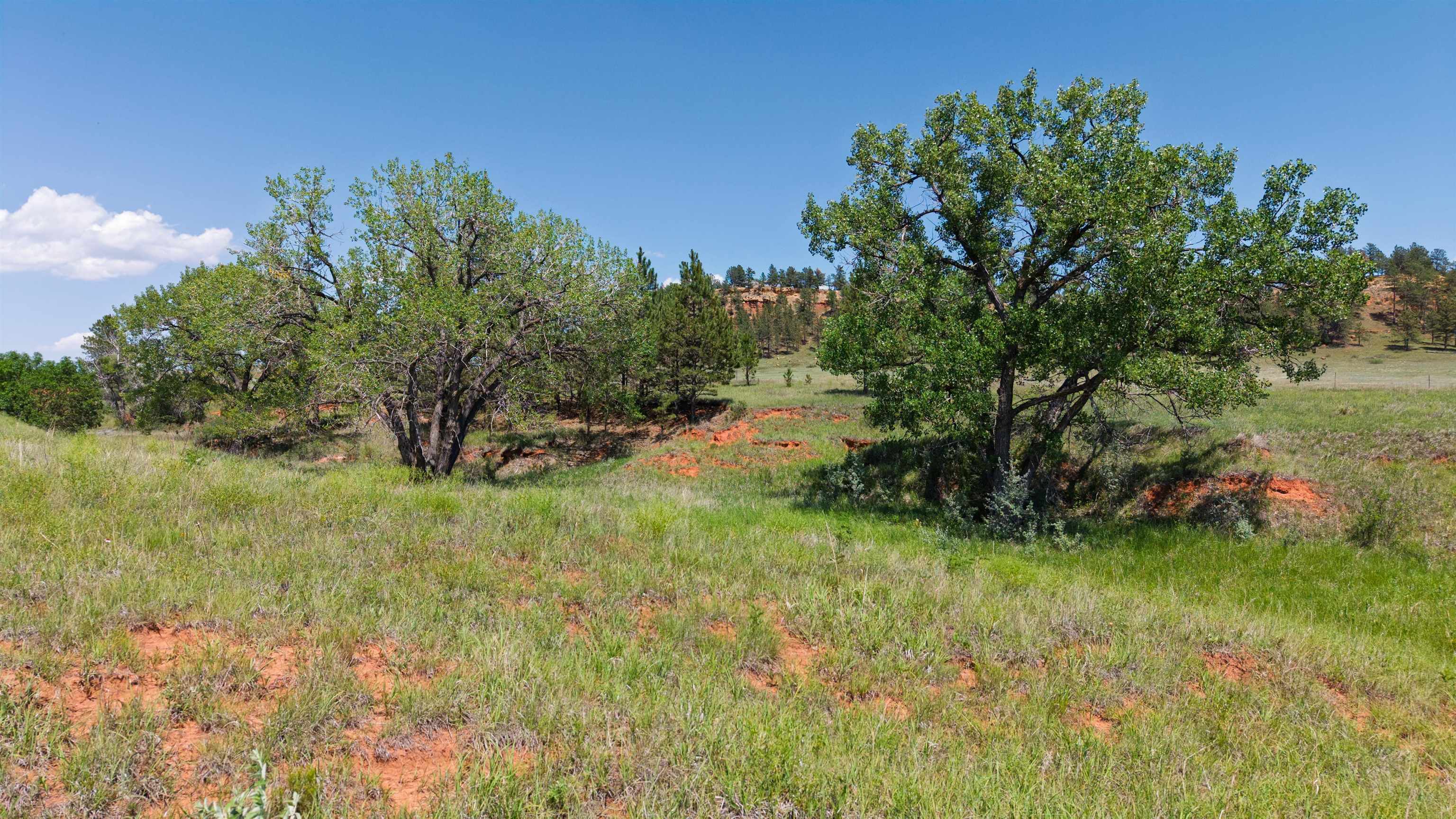 Tbd Highway 385 Property Photo 10