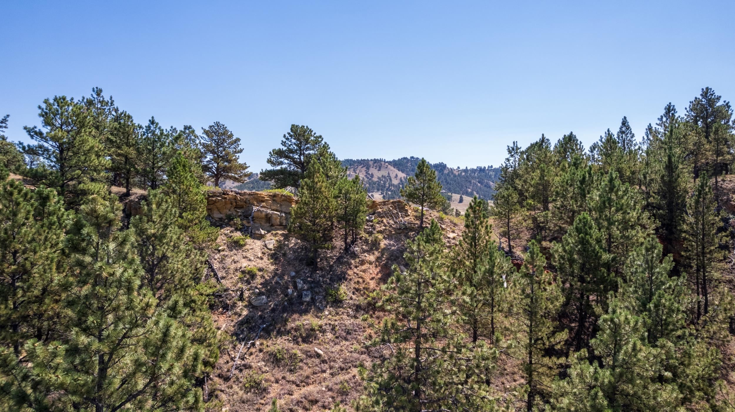 Tbd Highway 385 Property Photo 19