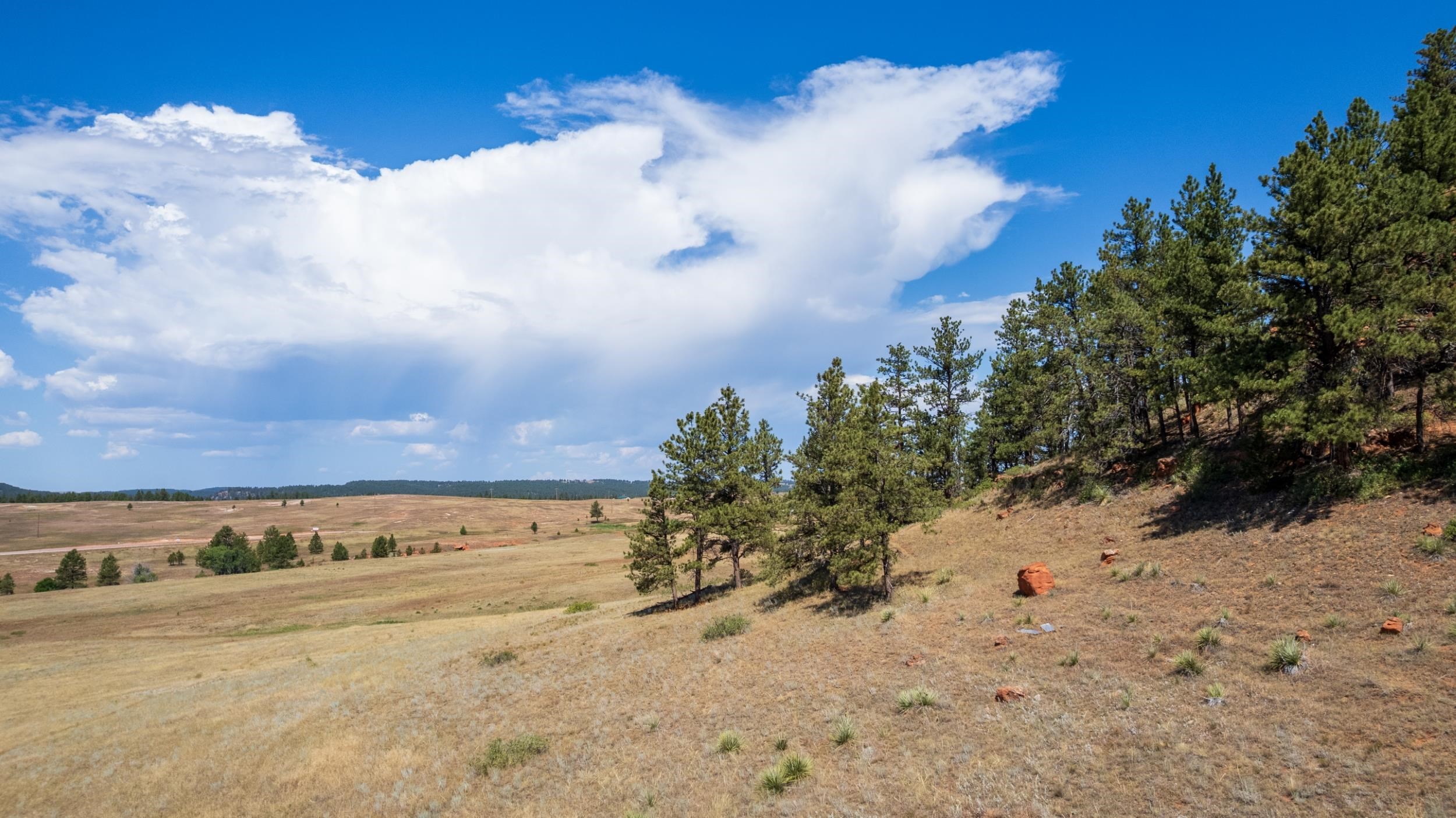 Tbd Highway 385 Property Photo 24