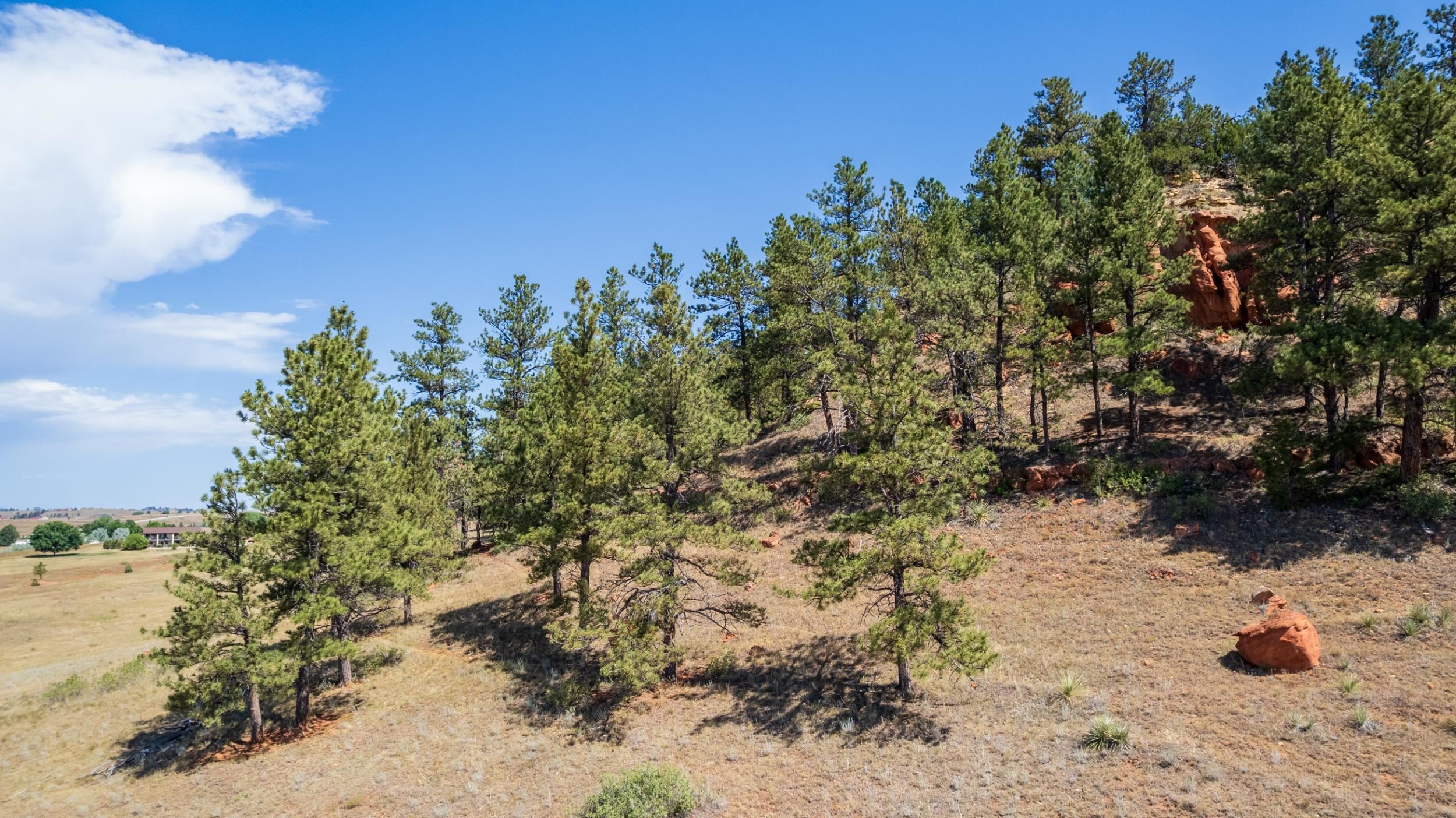 Tbd Highway 385 Property Photo 25