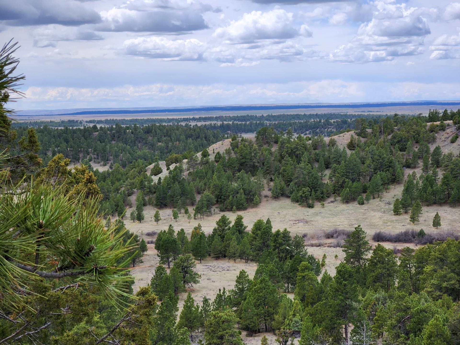 55 Two Pipe Trail Property Photo 1