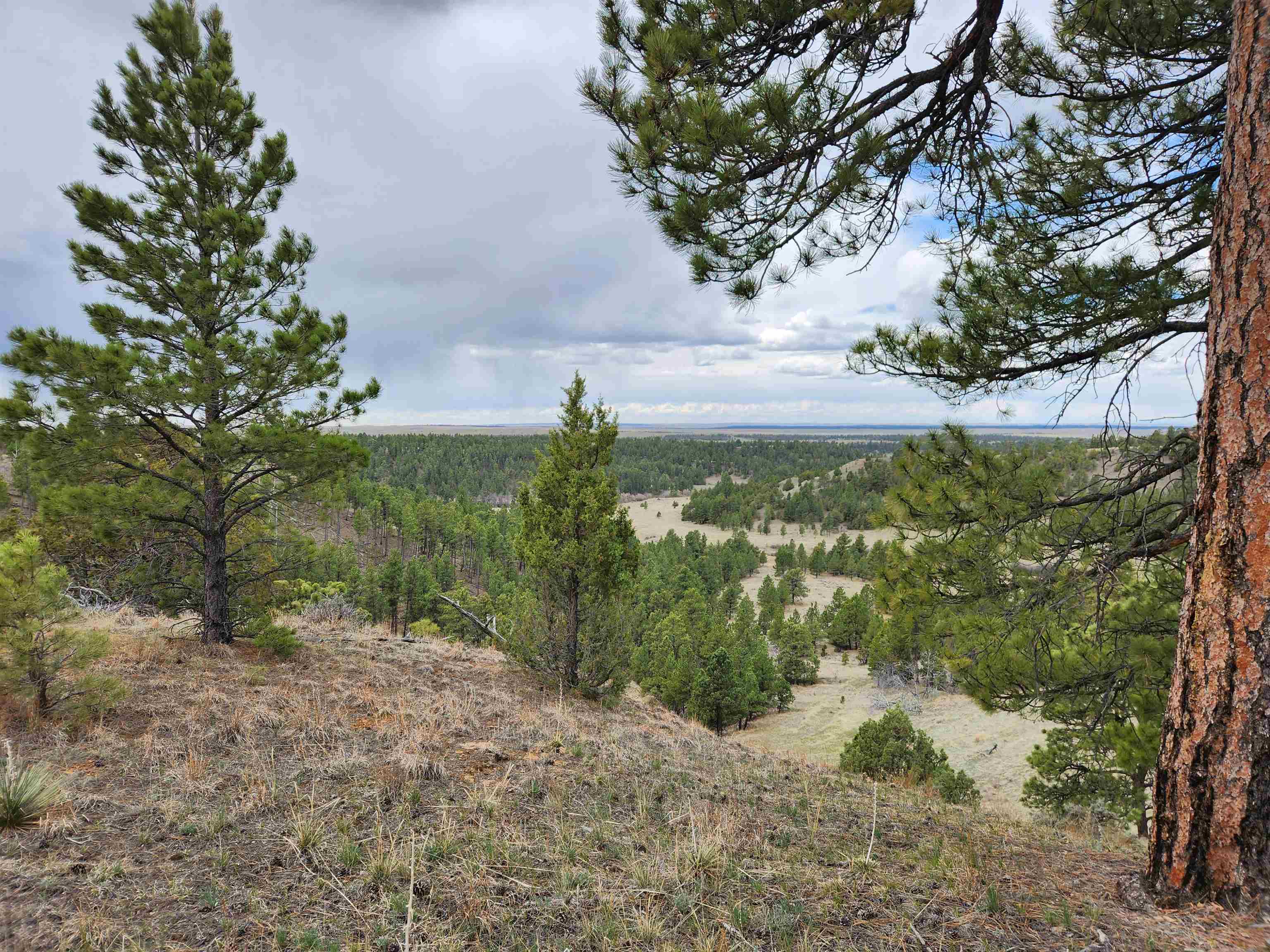 55 Two Pipe Trail Property Photo 3