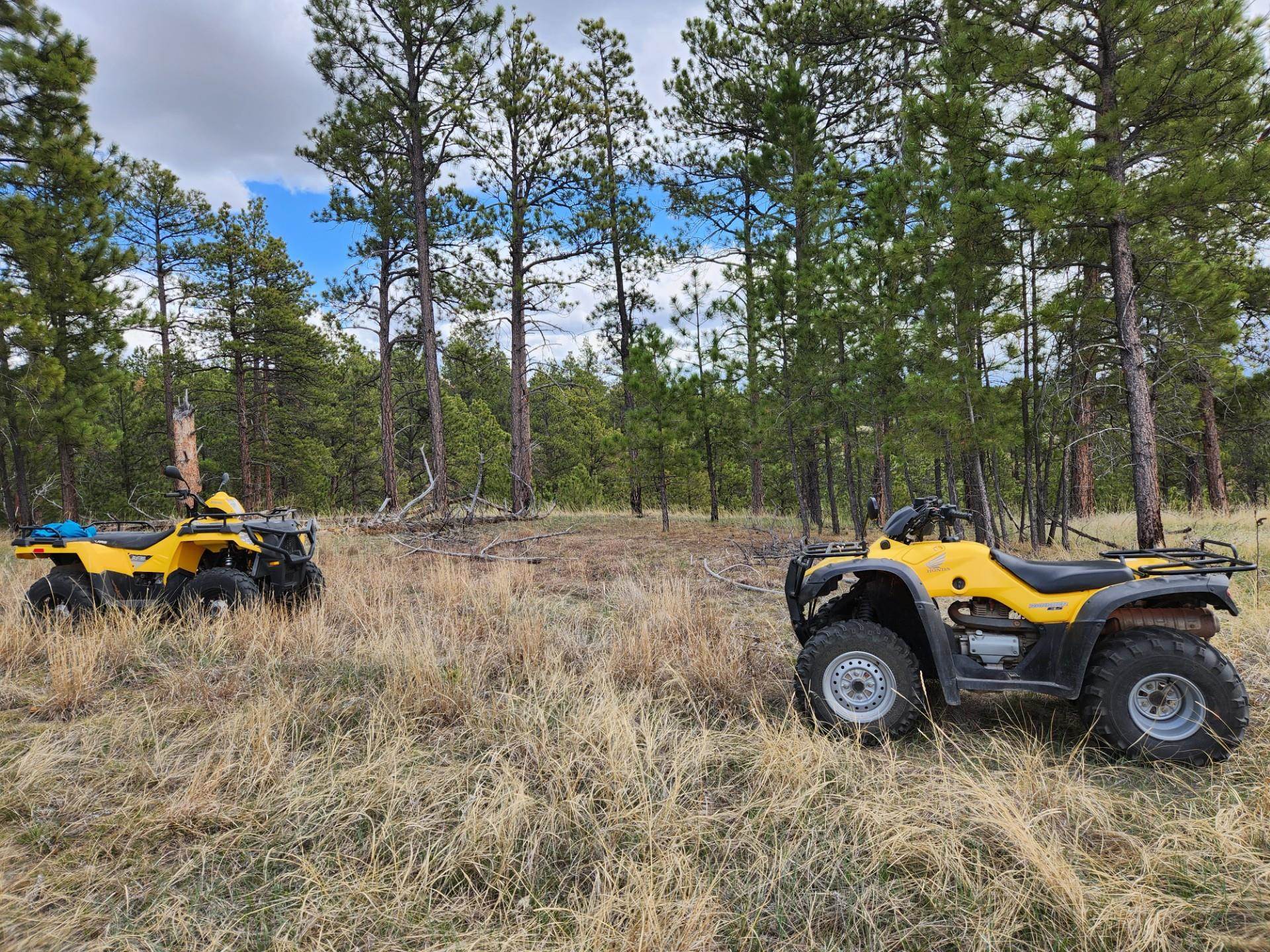 55 Two Pipe Trail Property Photo 5