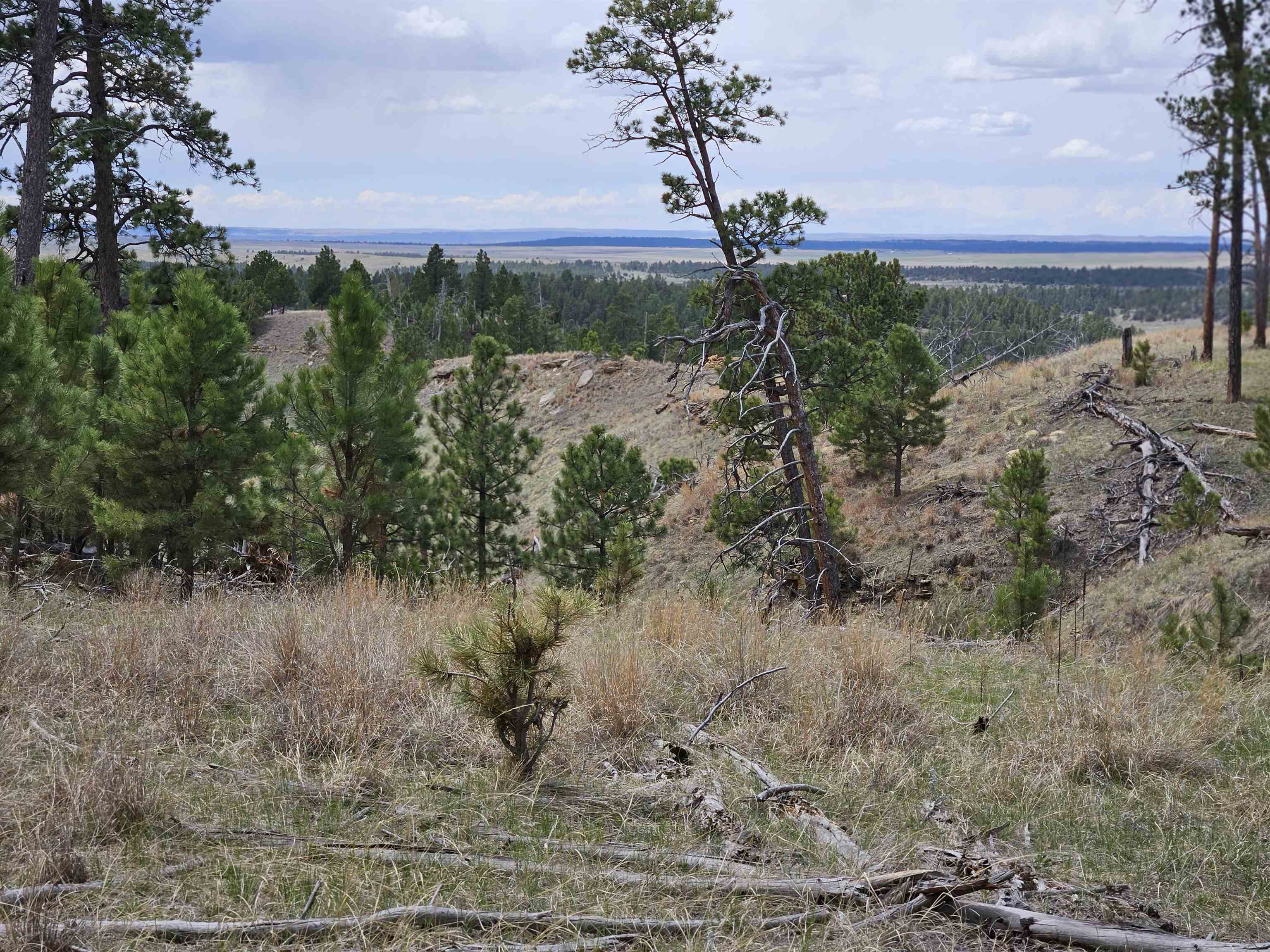 55 Two Pipe Trail Property Photo 7