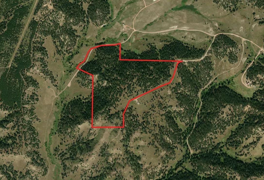 55 Two Pipe Trail Property Photo 9