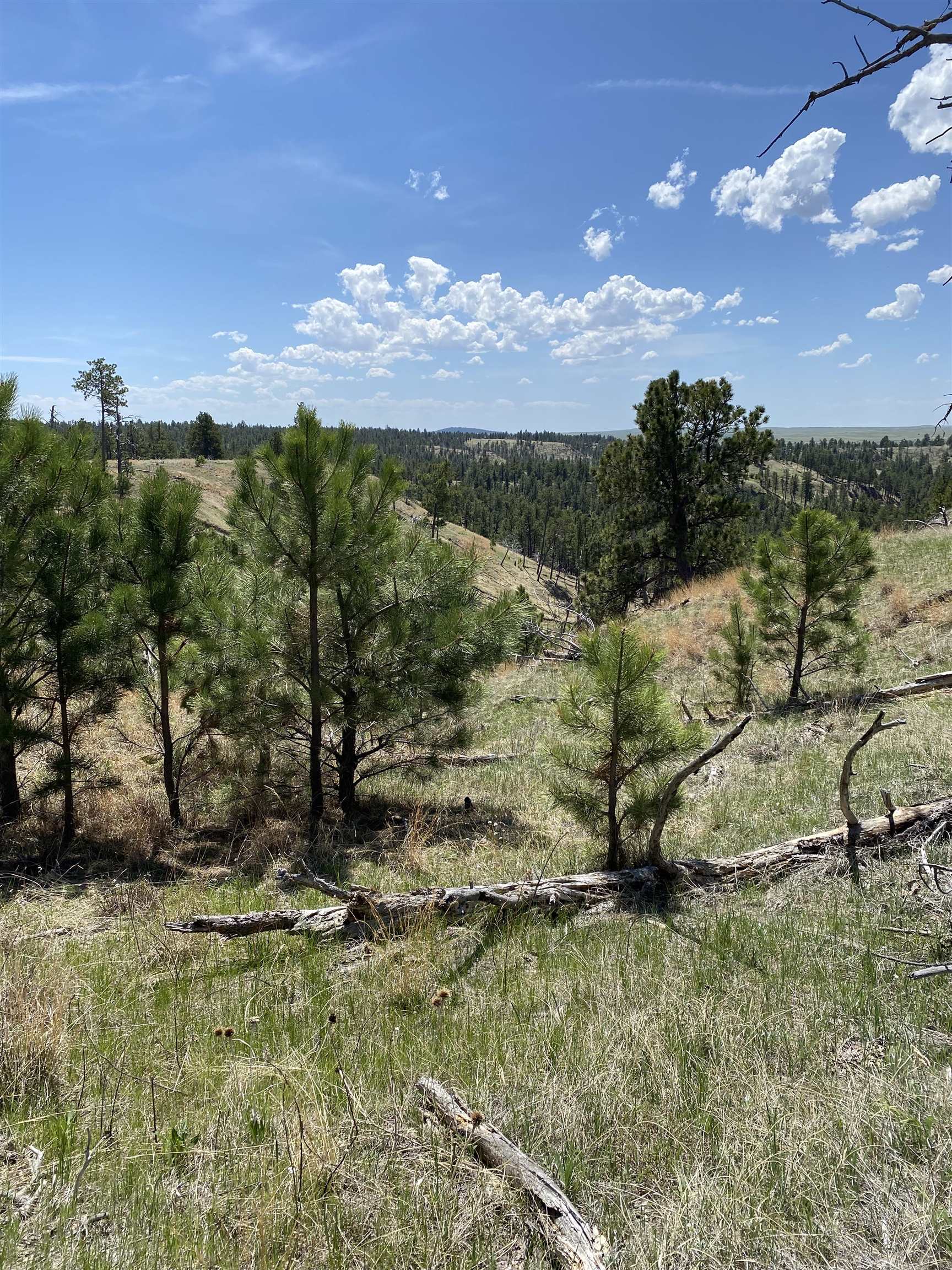 55 Two Pipe Trail Property Photo 10
