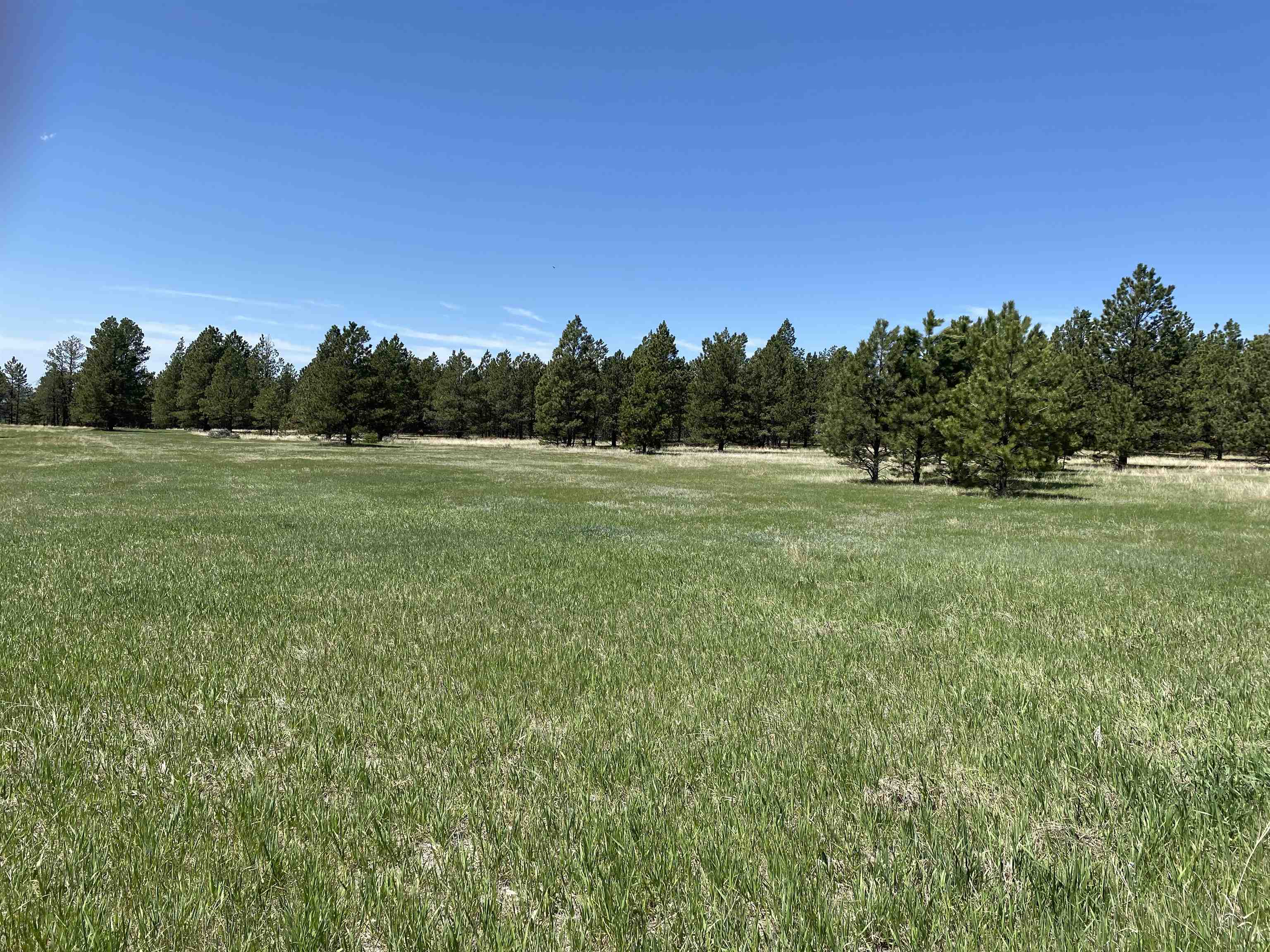 55 Two Pipe Trail Property Photo 11